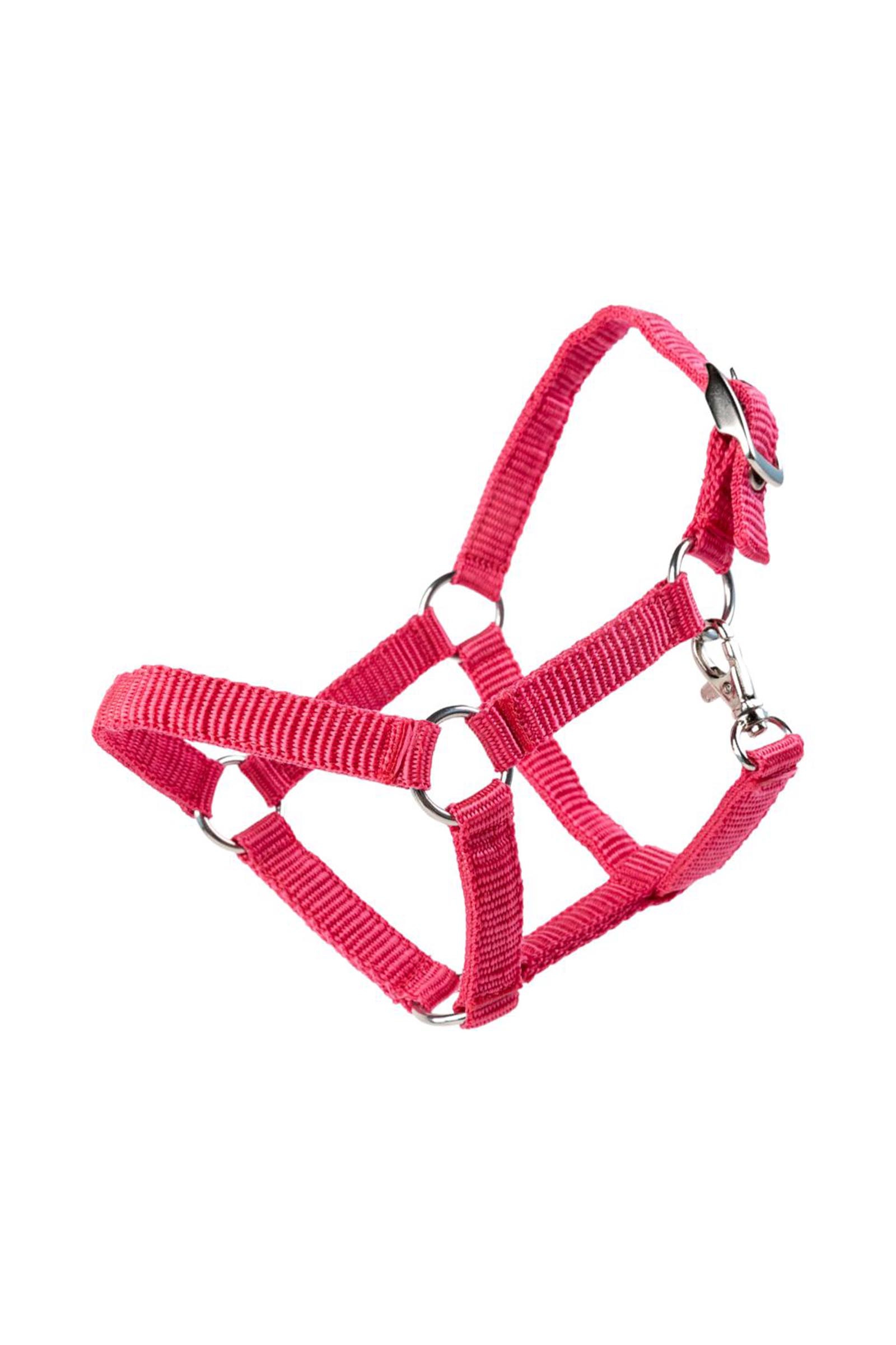 My Hobby Horse licol en nylon