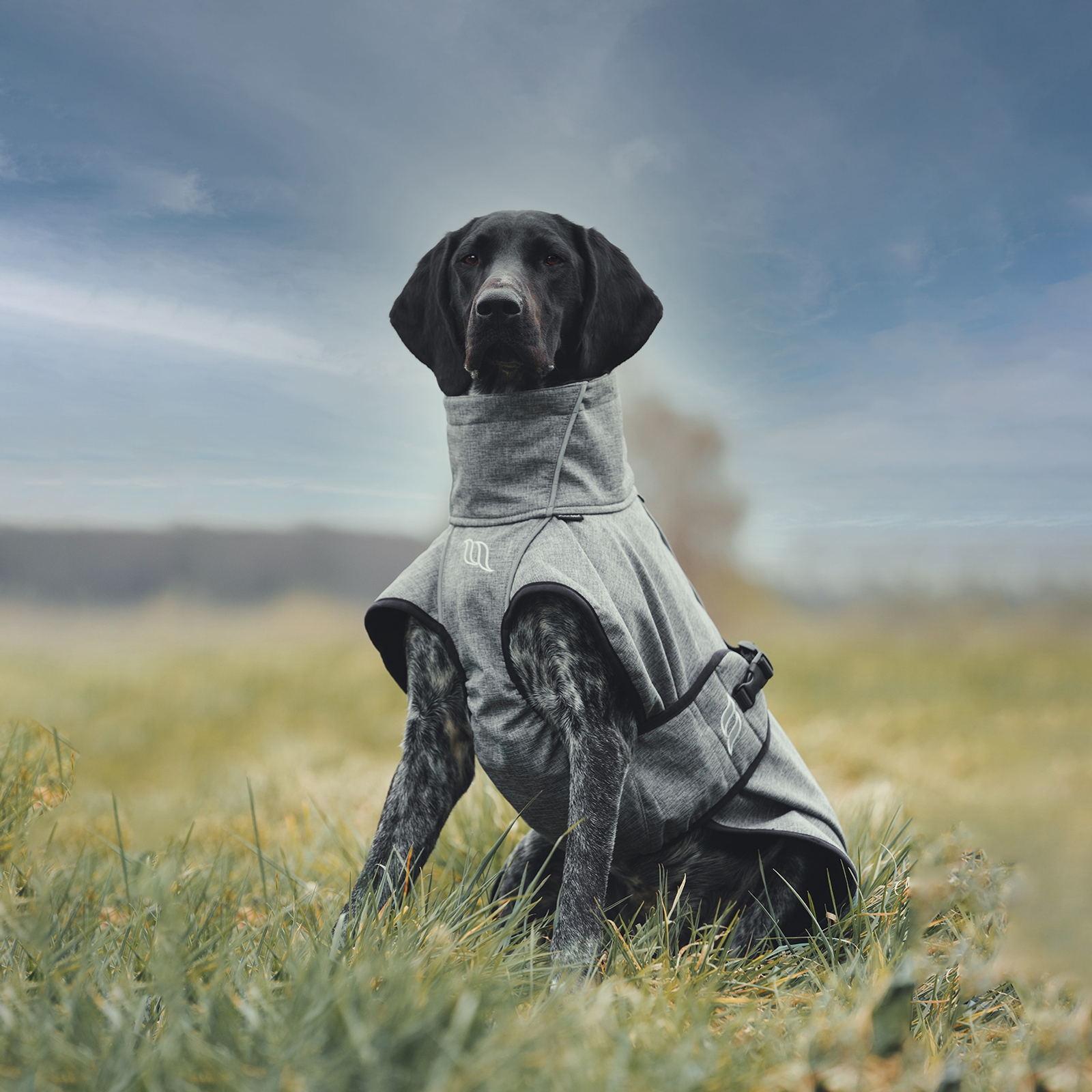 Manteau pour chien Back on Track Bark All-Round, 25-35 cm