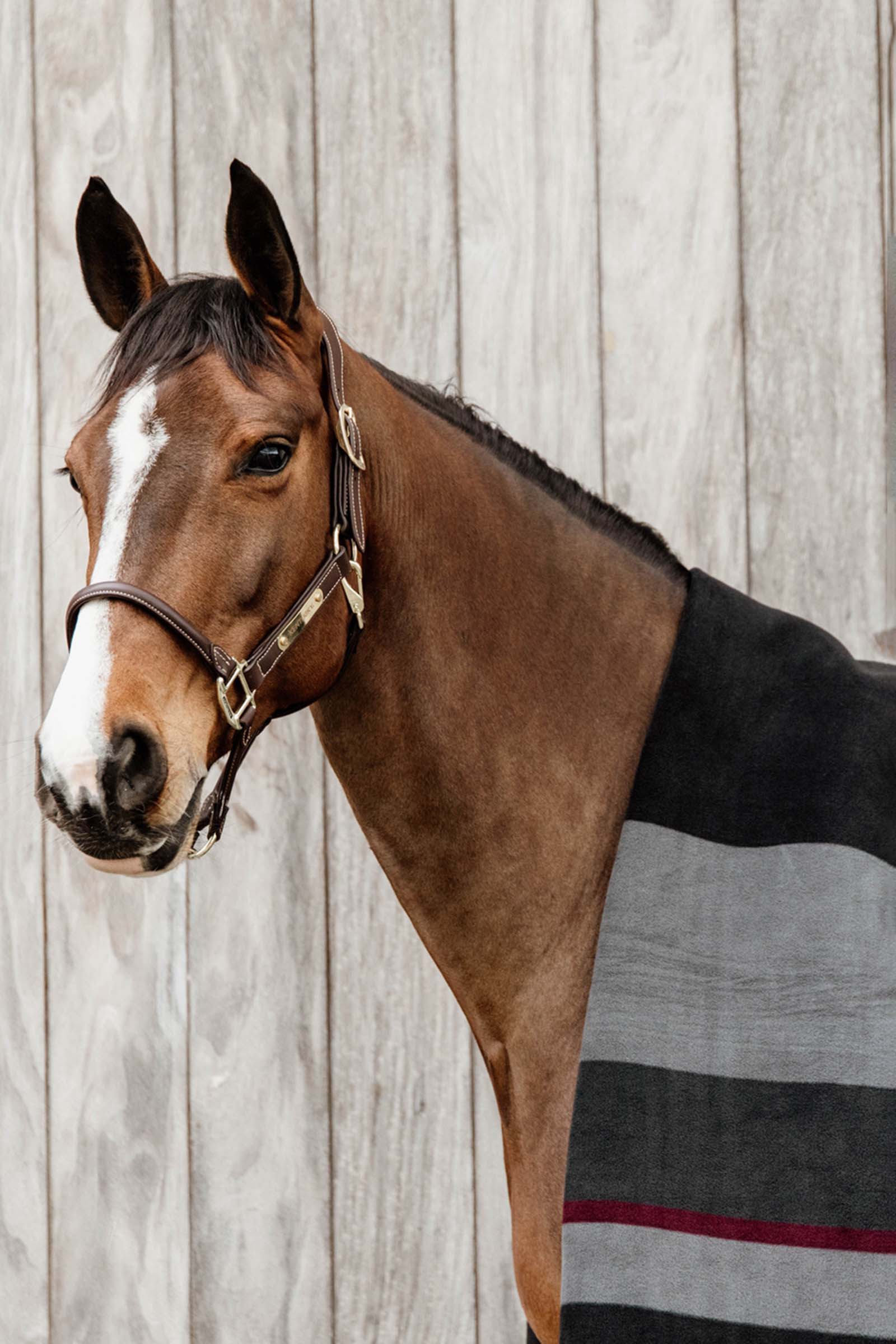 Kentucky Horsewear Couverture séchante carré Heavy