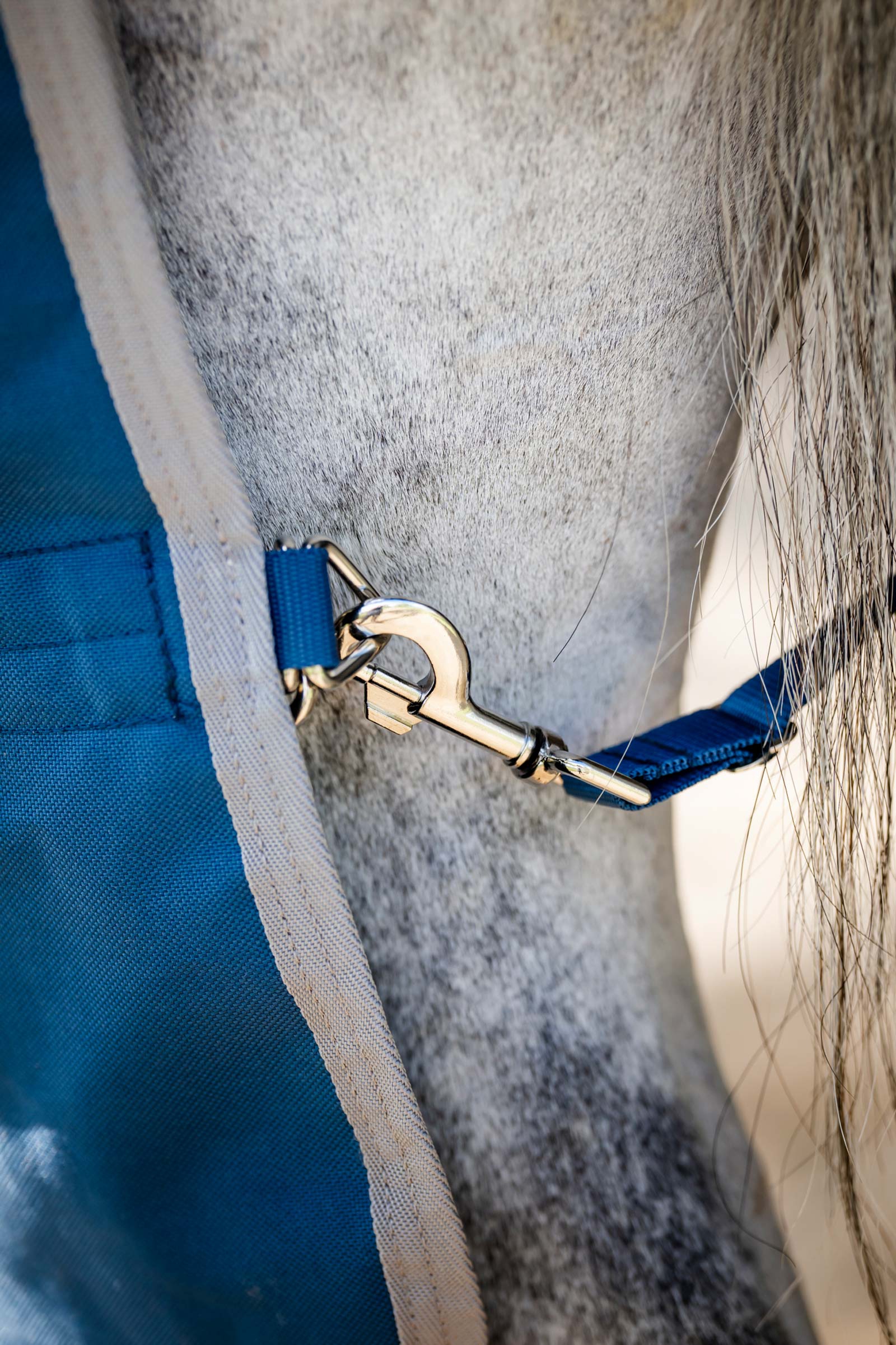 Horseware Ionic Therapy Couverture d'extérieur, 100g