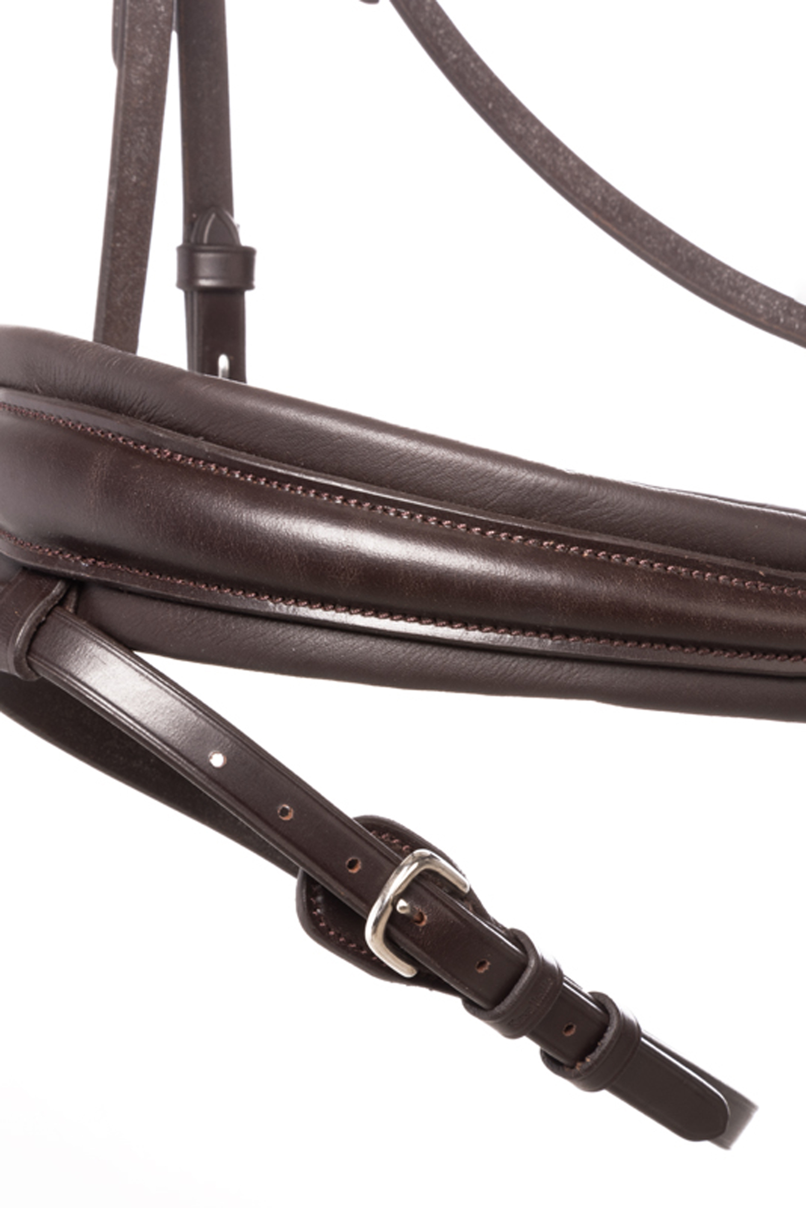 Kavalkade Zora Muserolle Crank