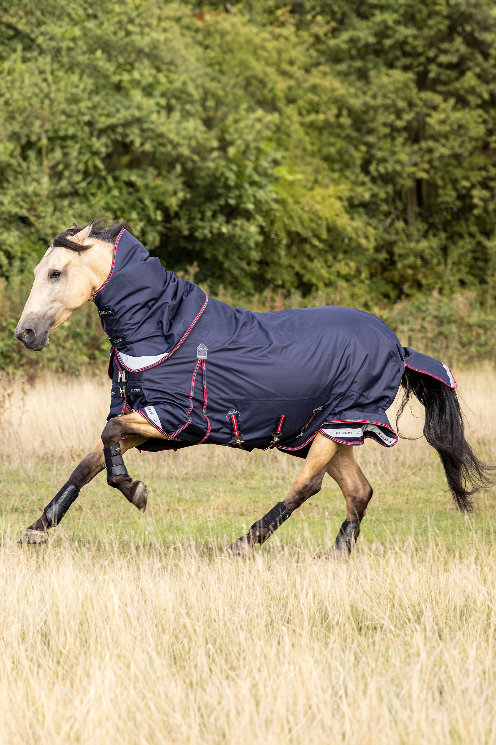 LeMieux Kudos couverture imperméable légère 100g