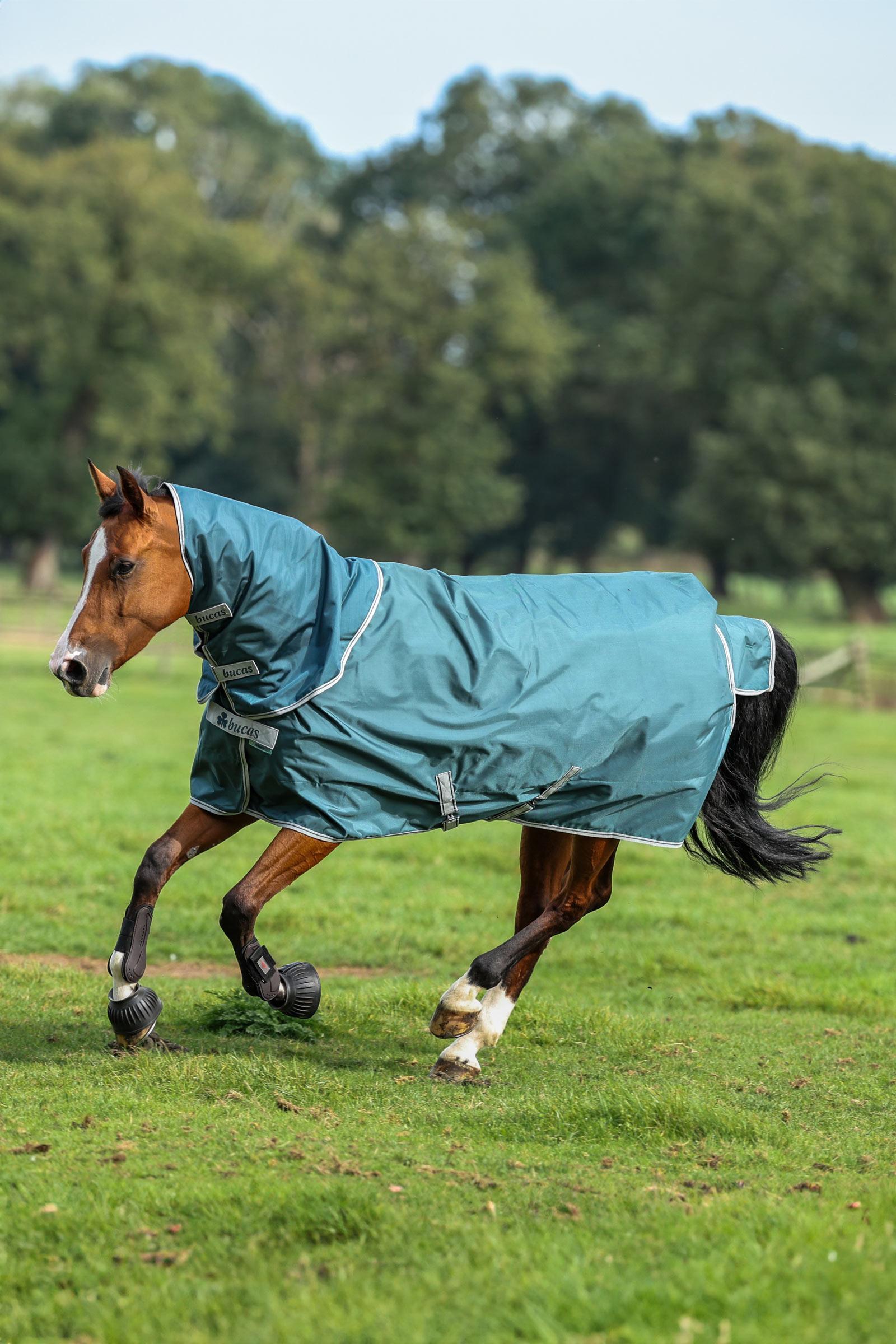 Bucas Atlantic Turnout Couvre-encolure, 50 g