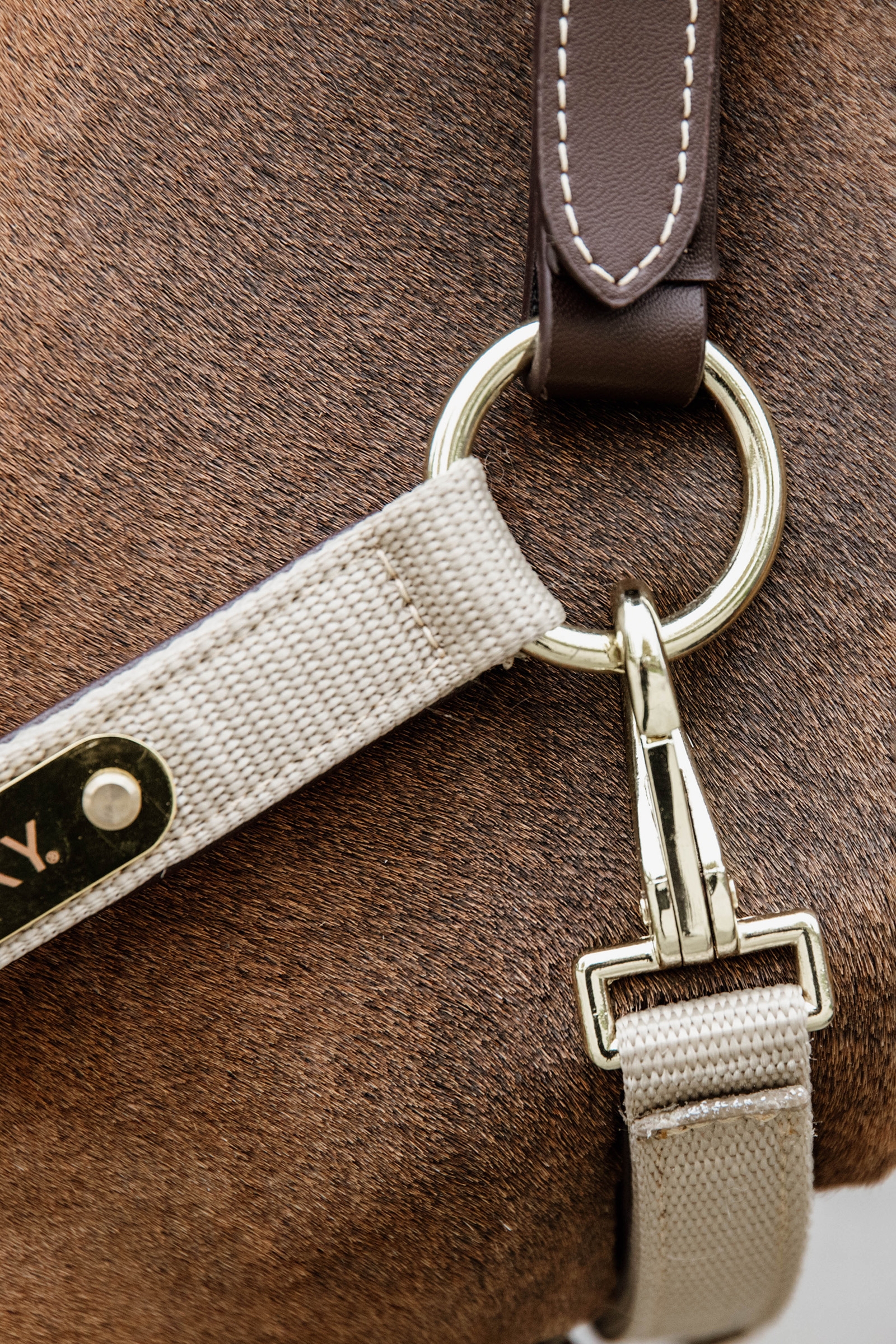 Kentucky Horsewear Licol anatomique en nylon