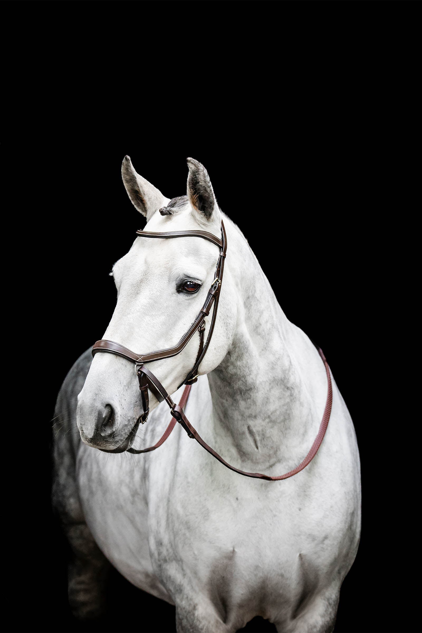 Horseware Micklem bride sans mors