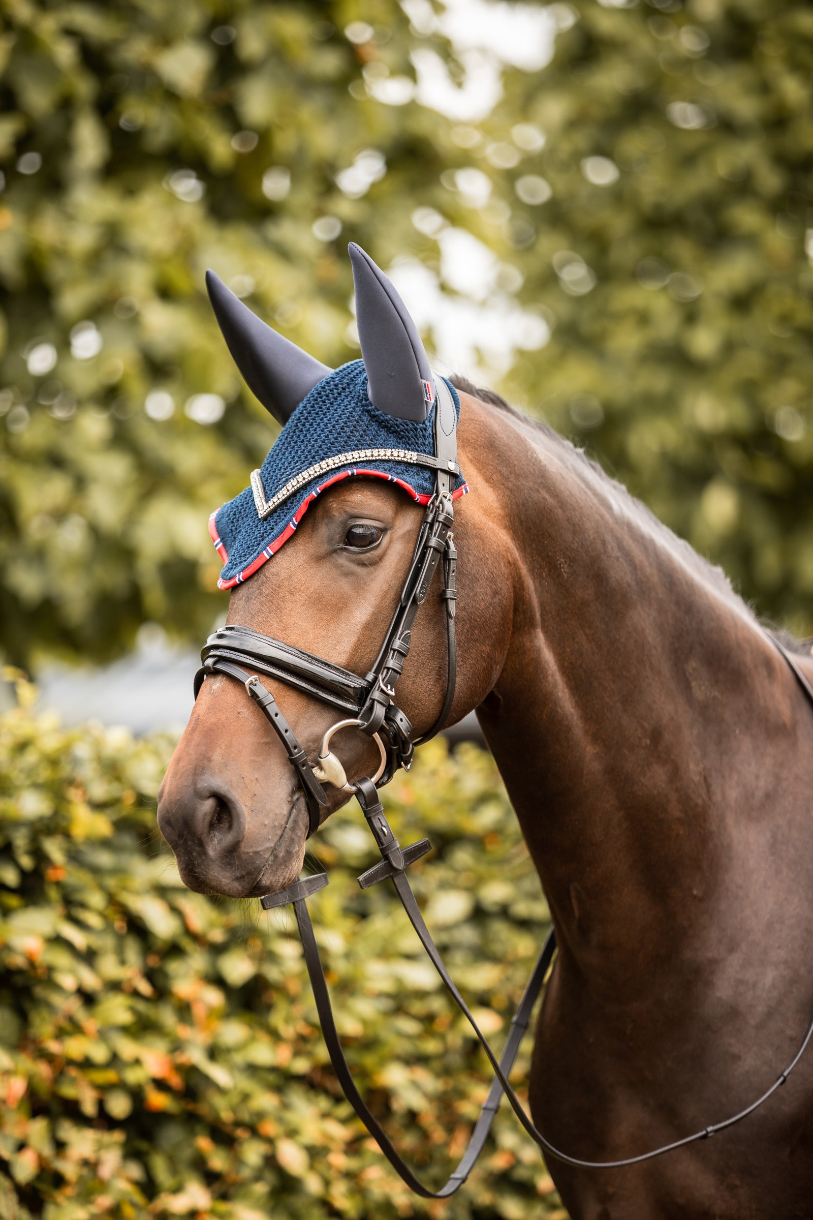 B Vertigo Amory bonnet pour chevaux anti-bruit