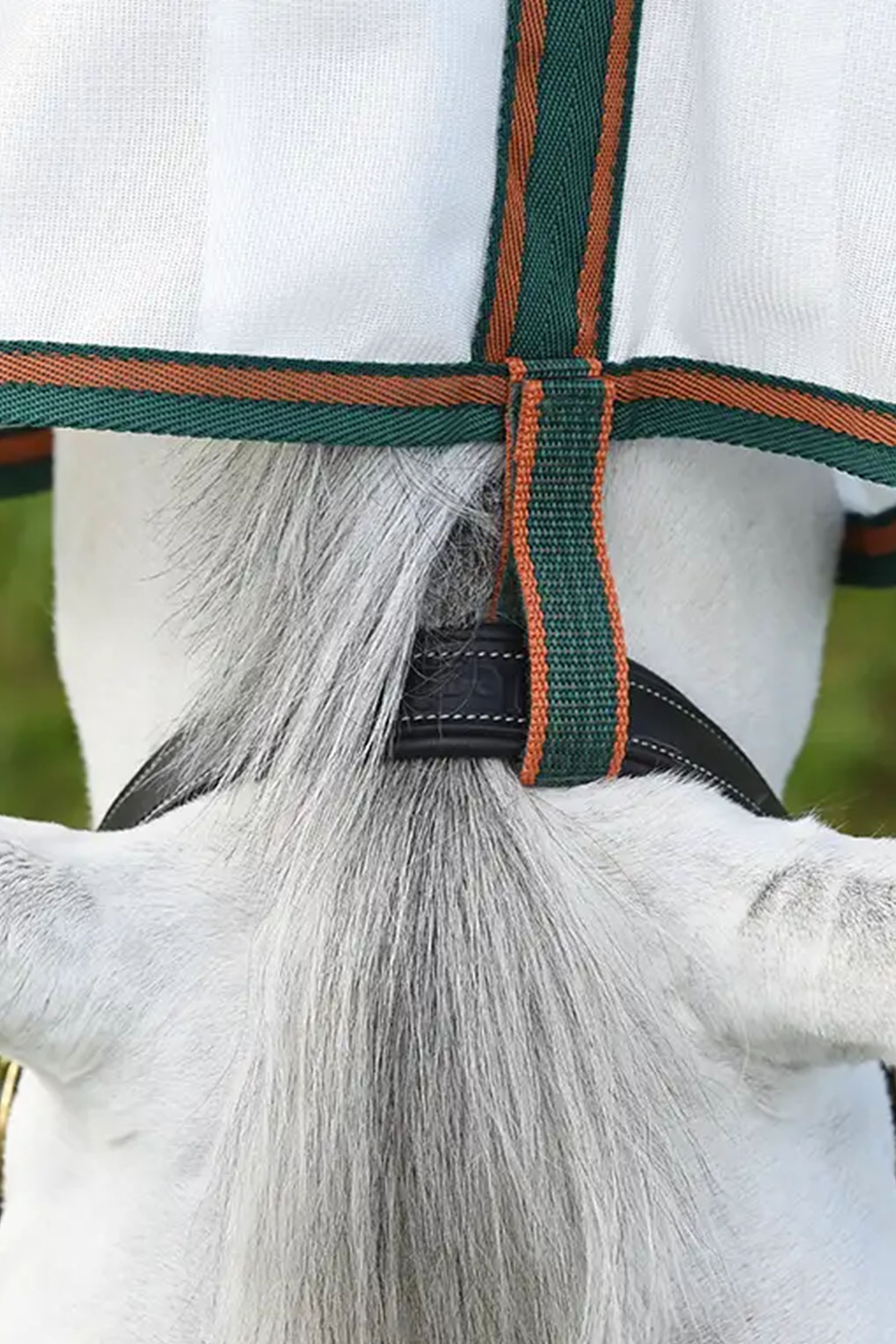 Weatherbeeta Comfitec Tyro couverture en mesh avec encolure intégrée