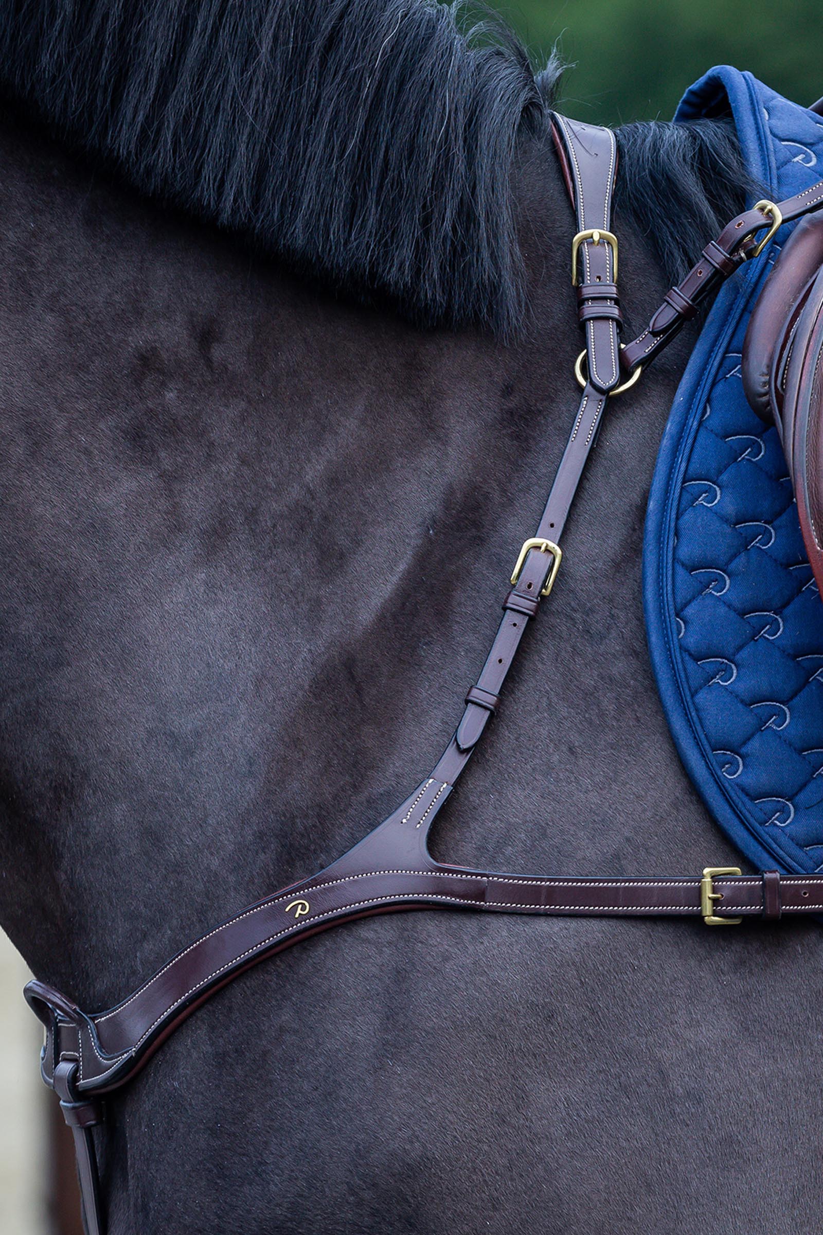 Dy'on D Collection collier de chasse anatomique