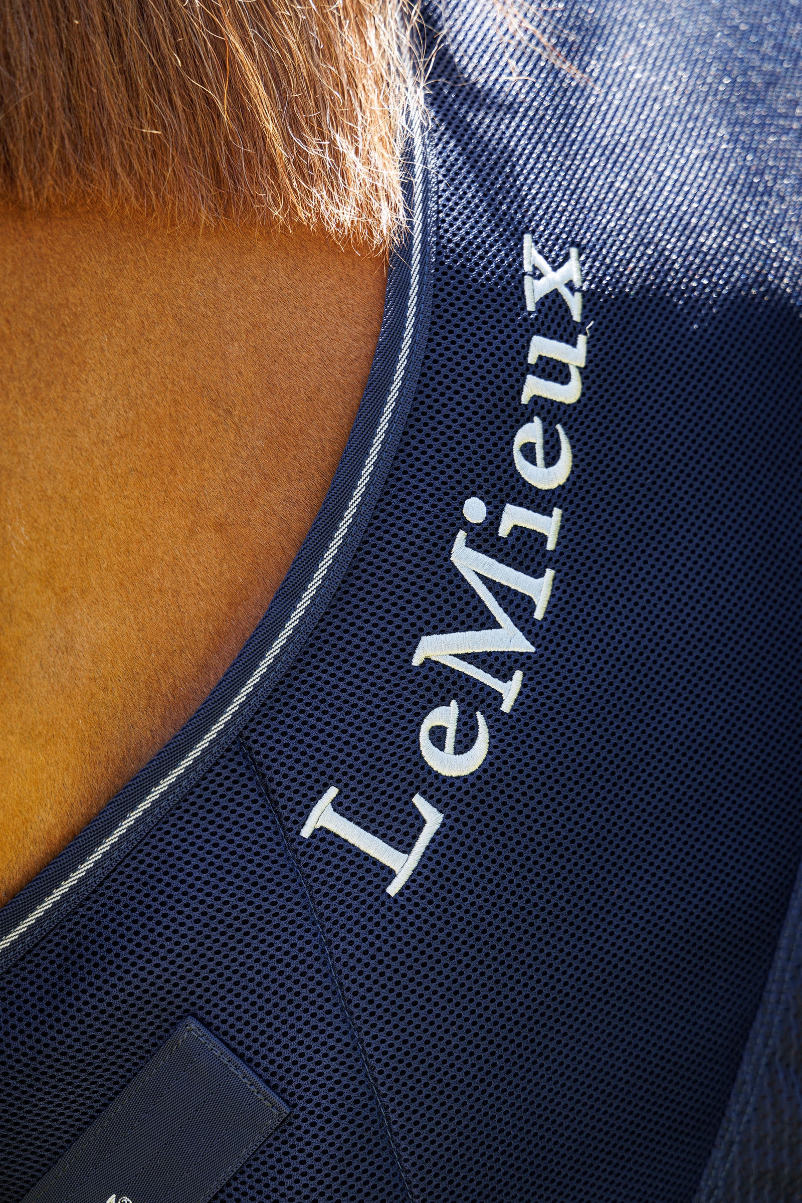 LeMieux Kudos couverture séchante sport en mesh