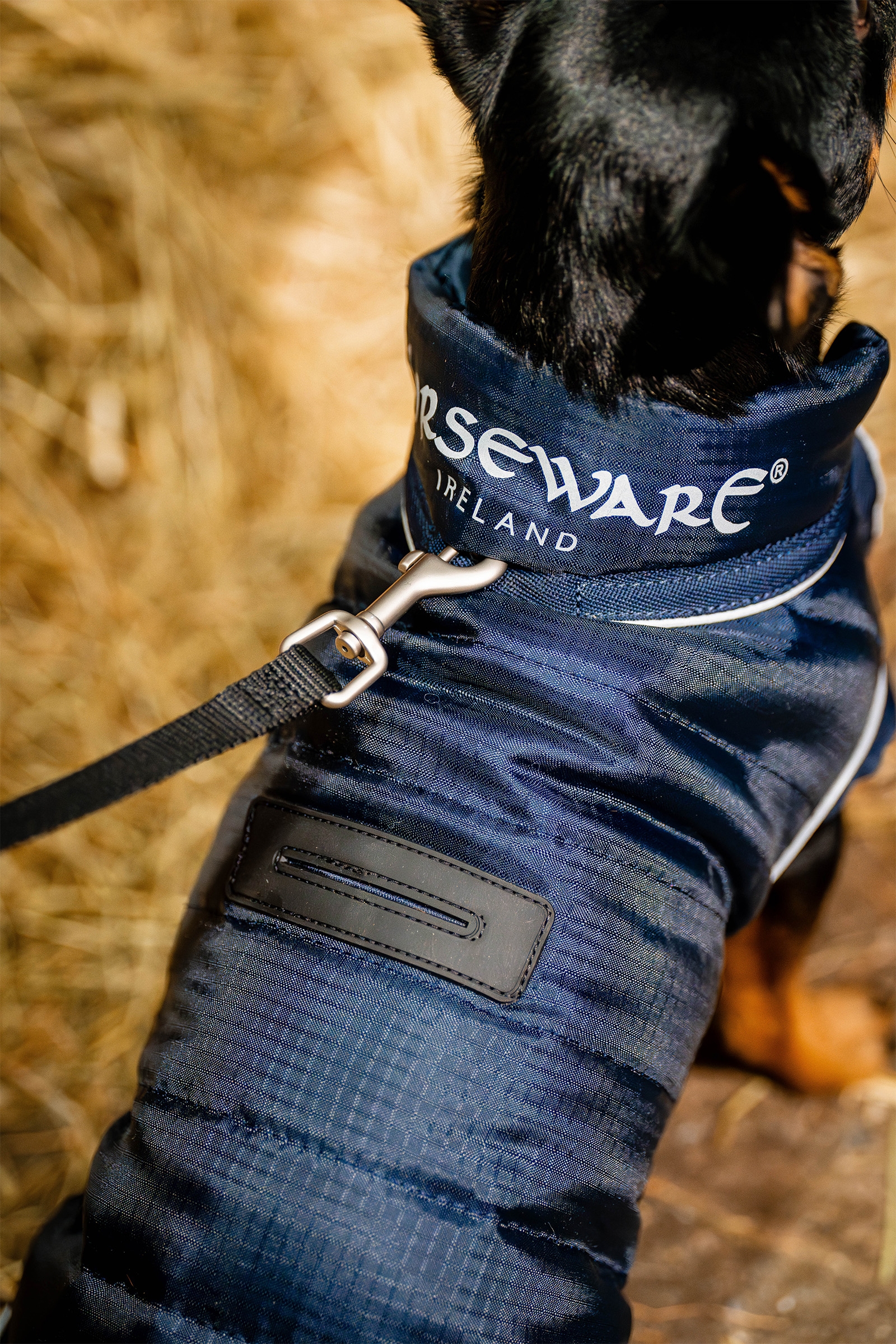 Manteau pour chien Horseware Signature