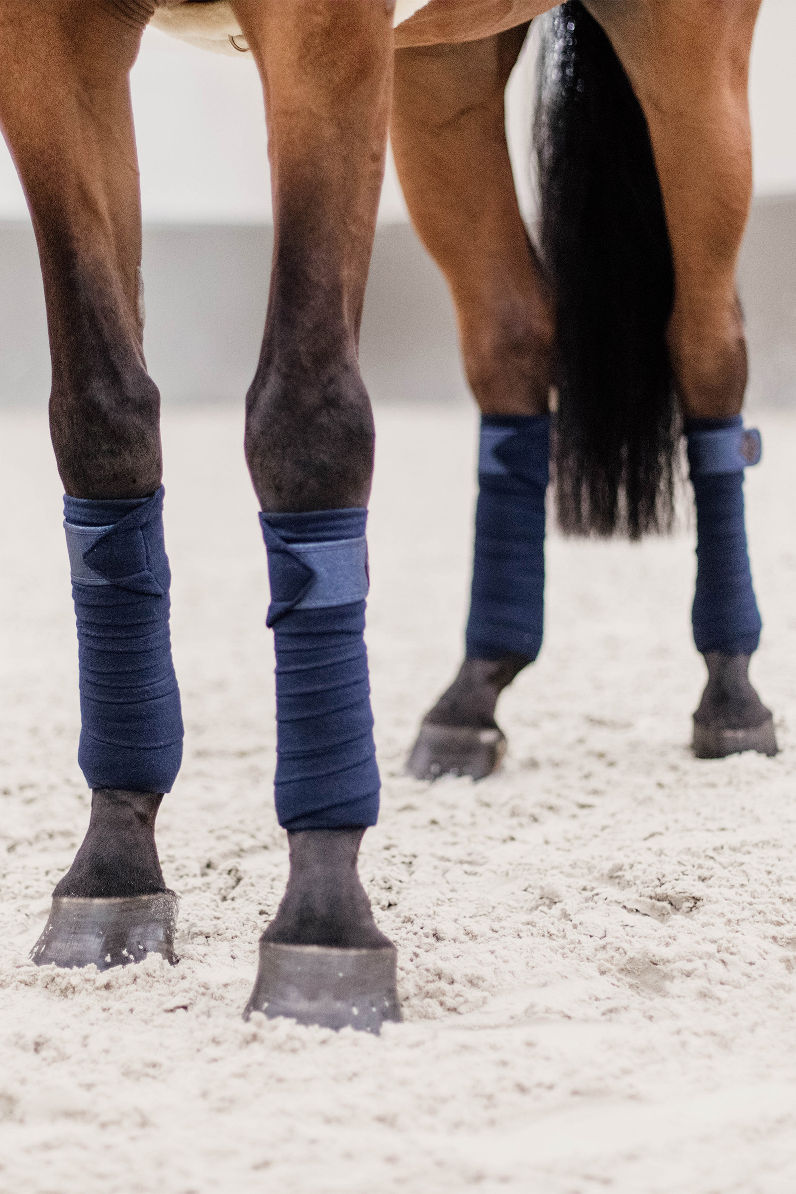 bande de polo Glitter Kentucky Horsewear