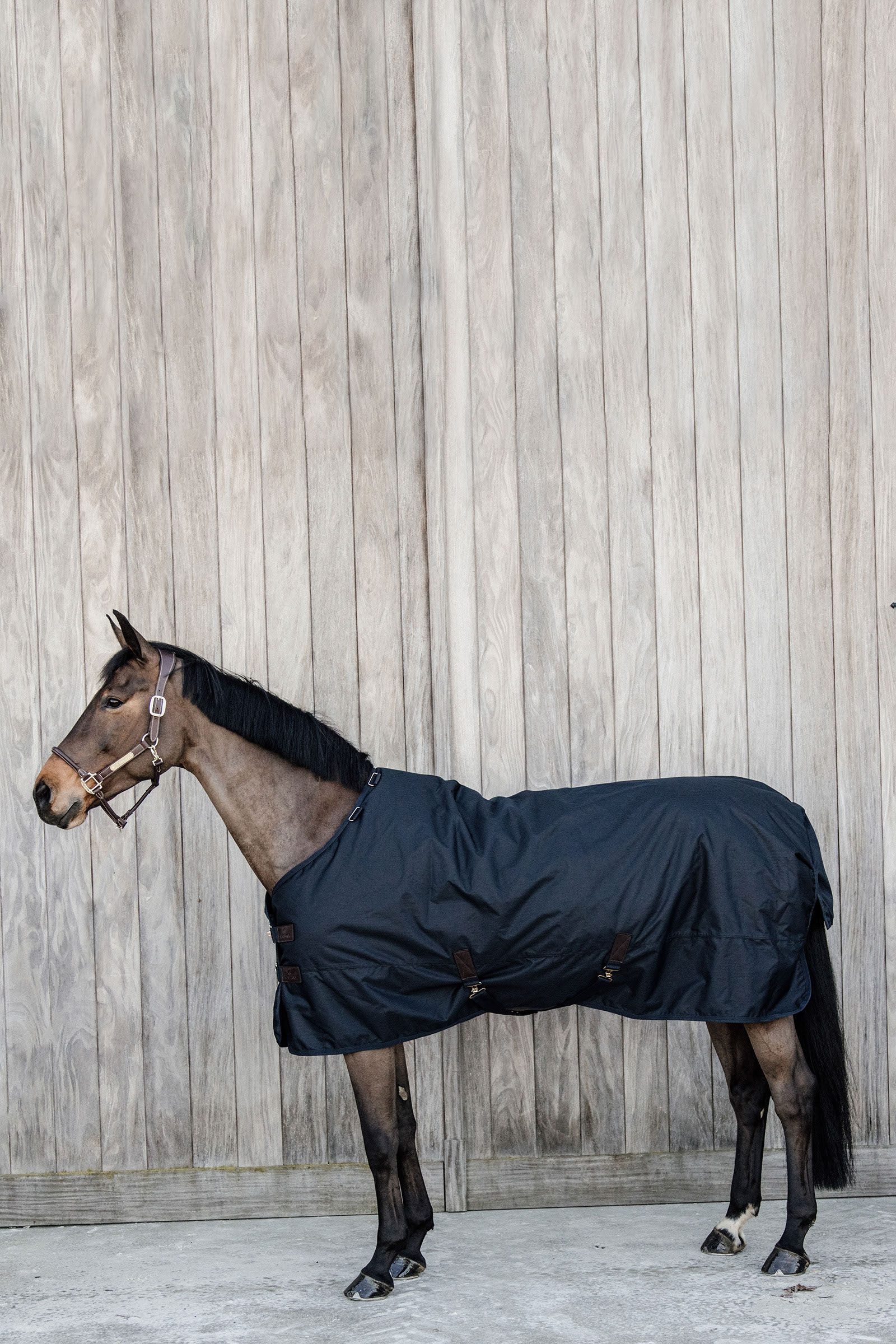 Couverture d'extérieur Tout Temps imperméable Kentucky Horsewear Classic, 150 g