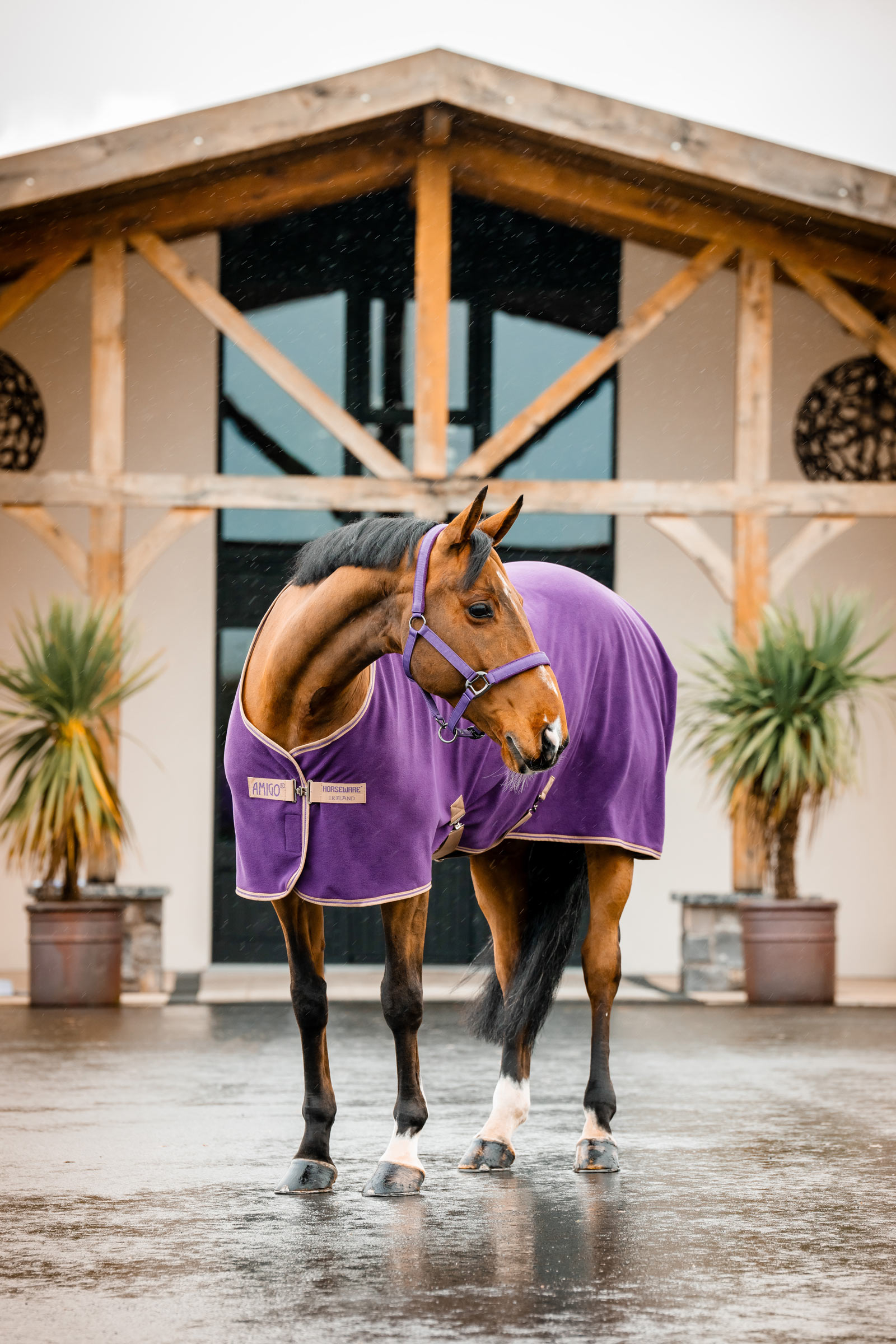 Horseware Amigo Cooler Polaire