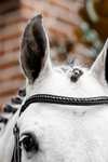 Horseware Diamante bridon avec muserolle combin&eacute;e