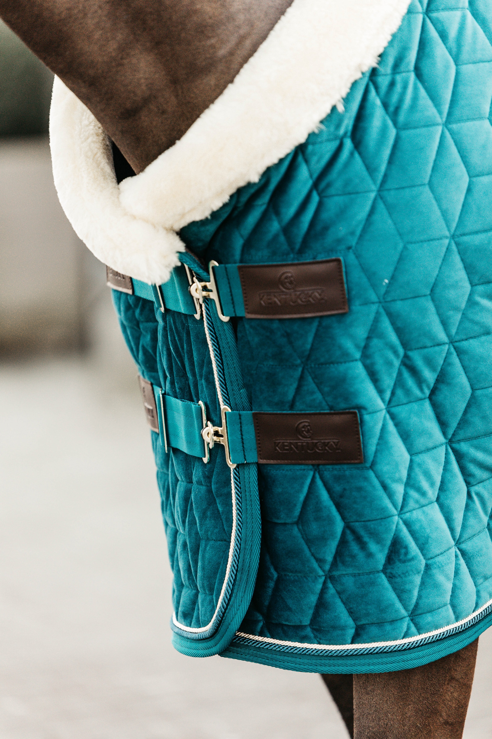 Kentucky Horsewear Couverture de présentation Velvet poney, 160g