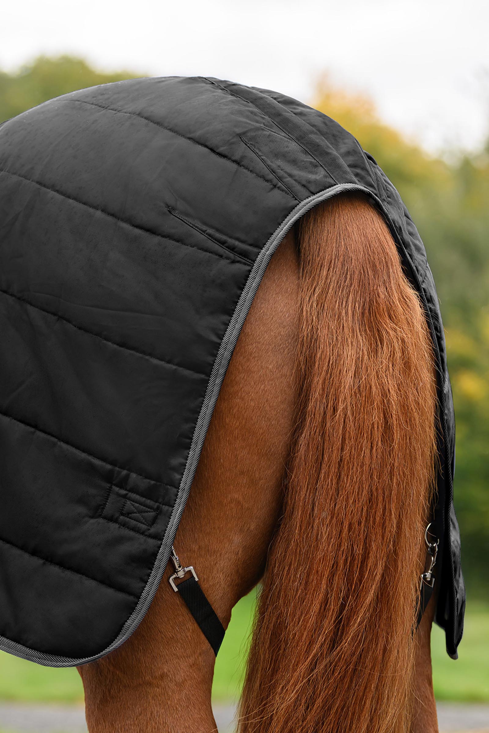 Waldhausen ECONOMIC couverture d&rsquo;&eacute;curie, 100g