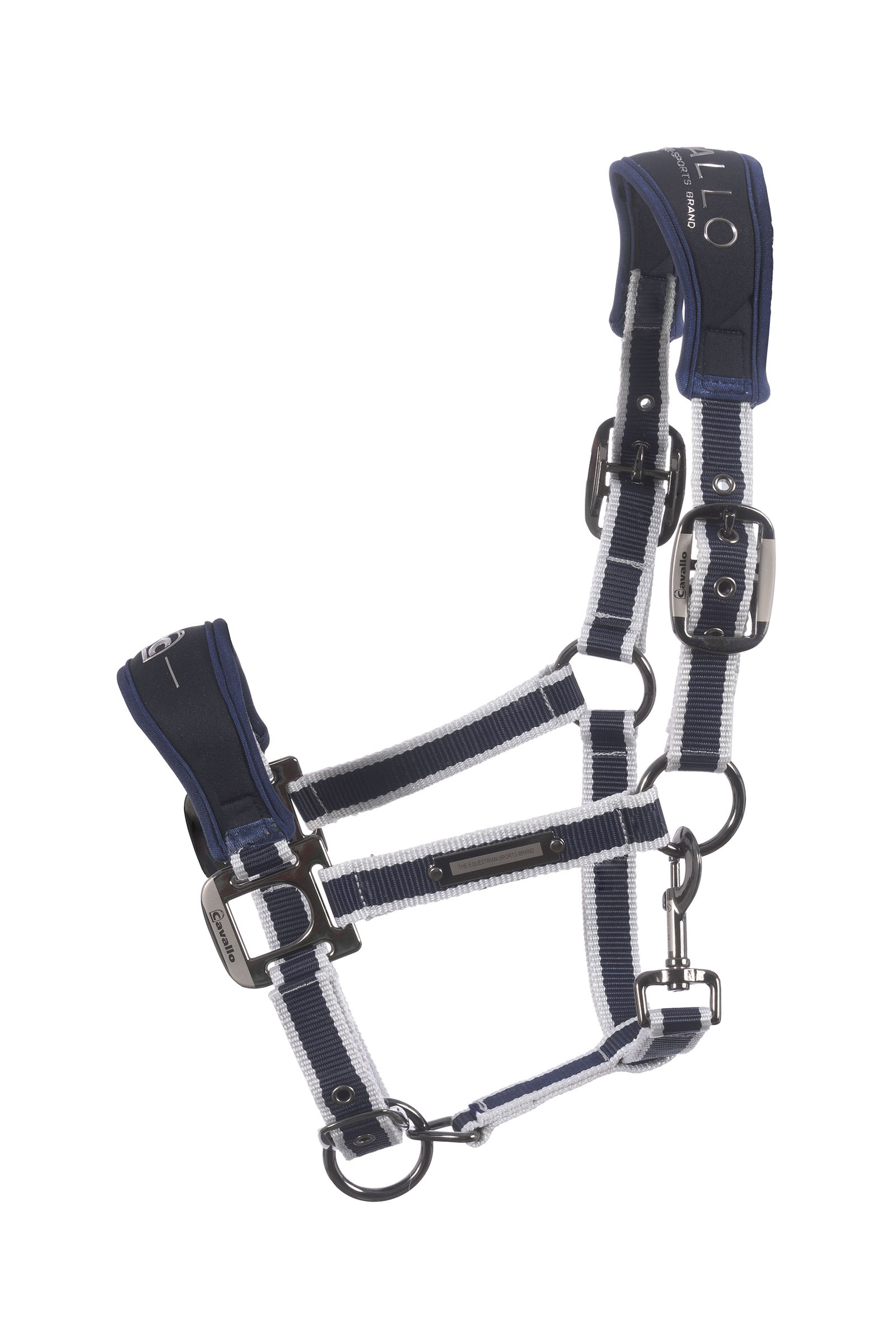 darkblue Cavallo CavalSoft Softshell licol