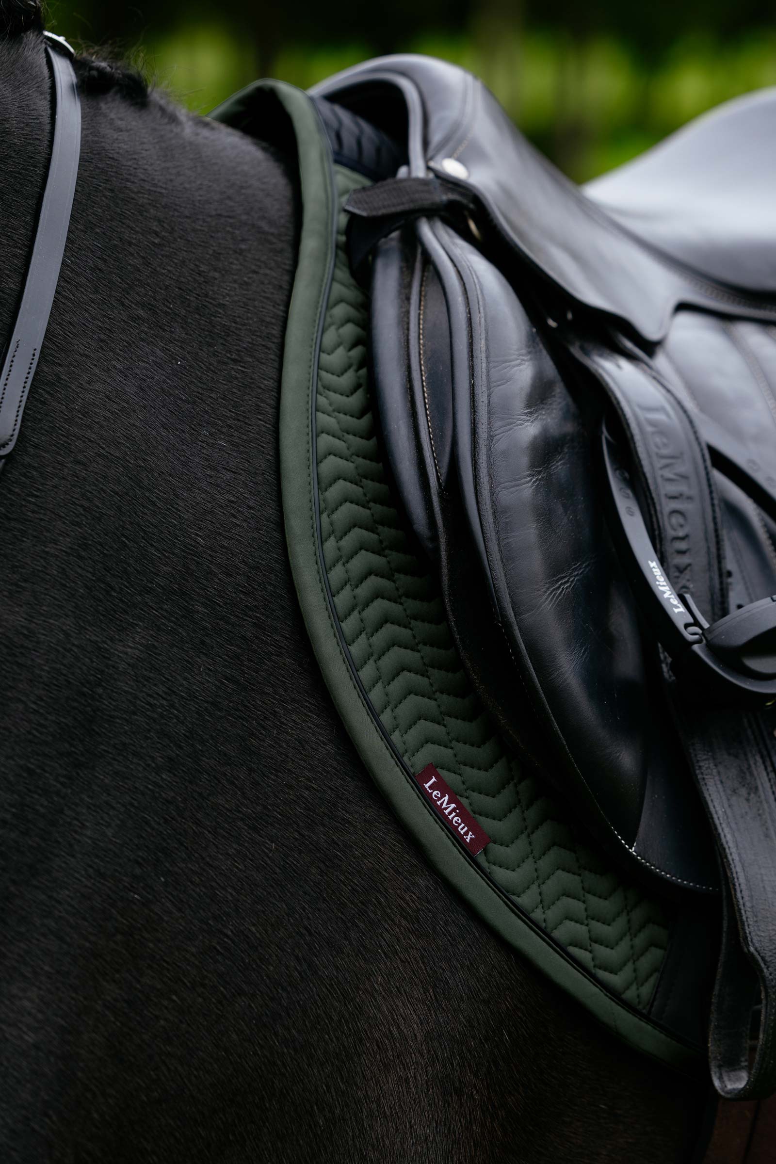 LeMieux Essence tapis de selle de saut Eurojump