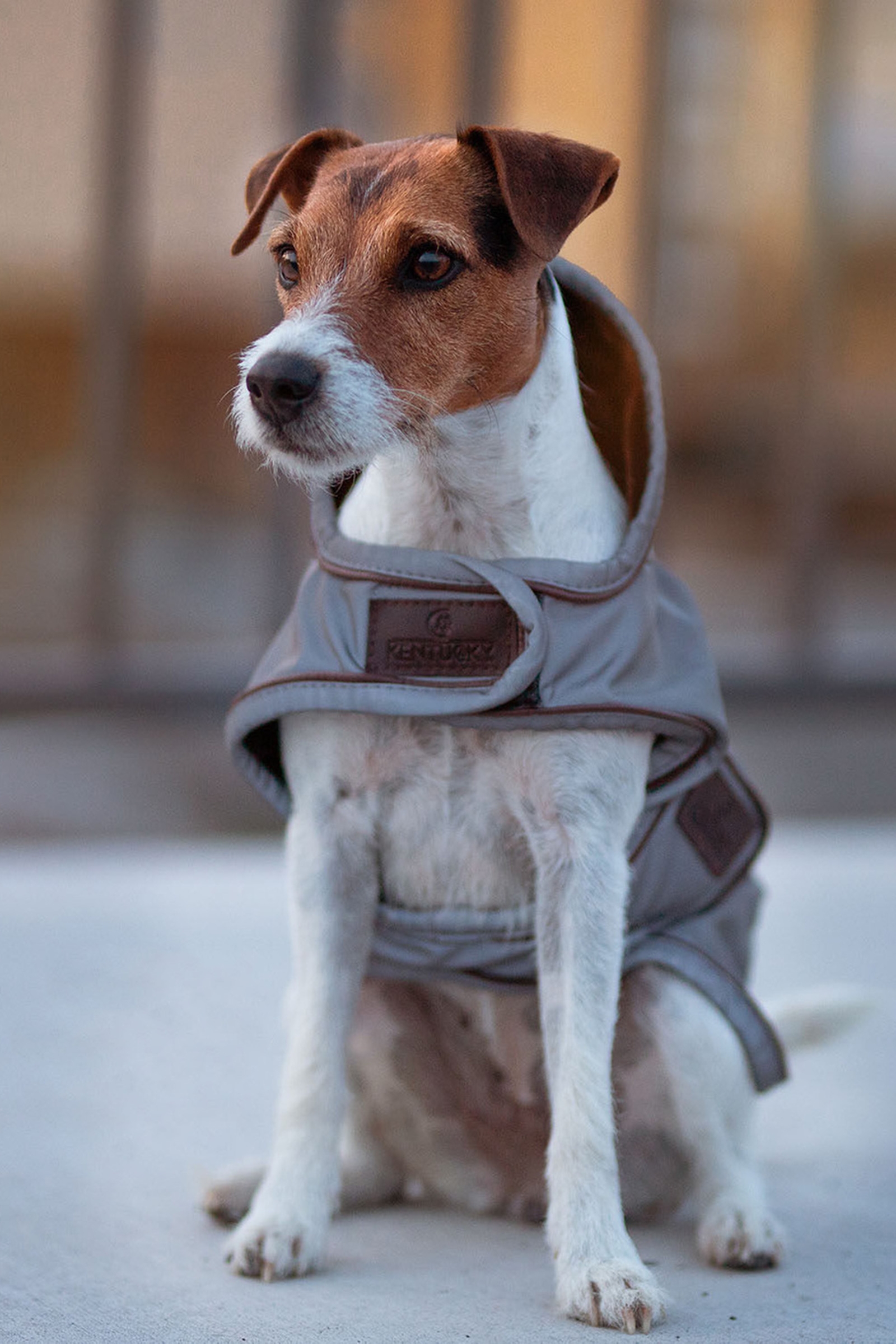 Manteau pour chien réfléchissant et déperlant Kentucky Dogwear