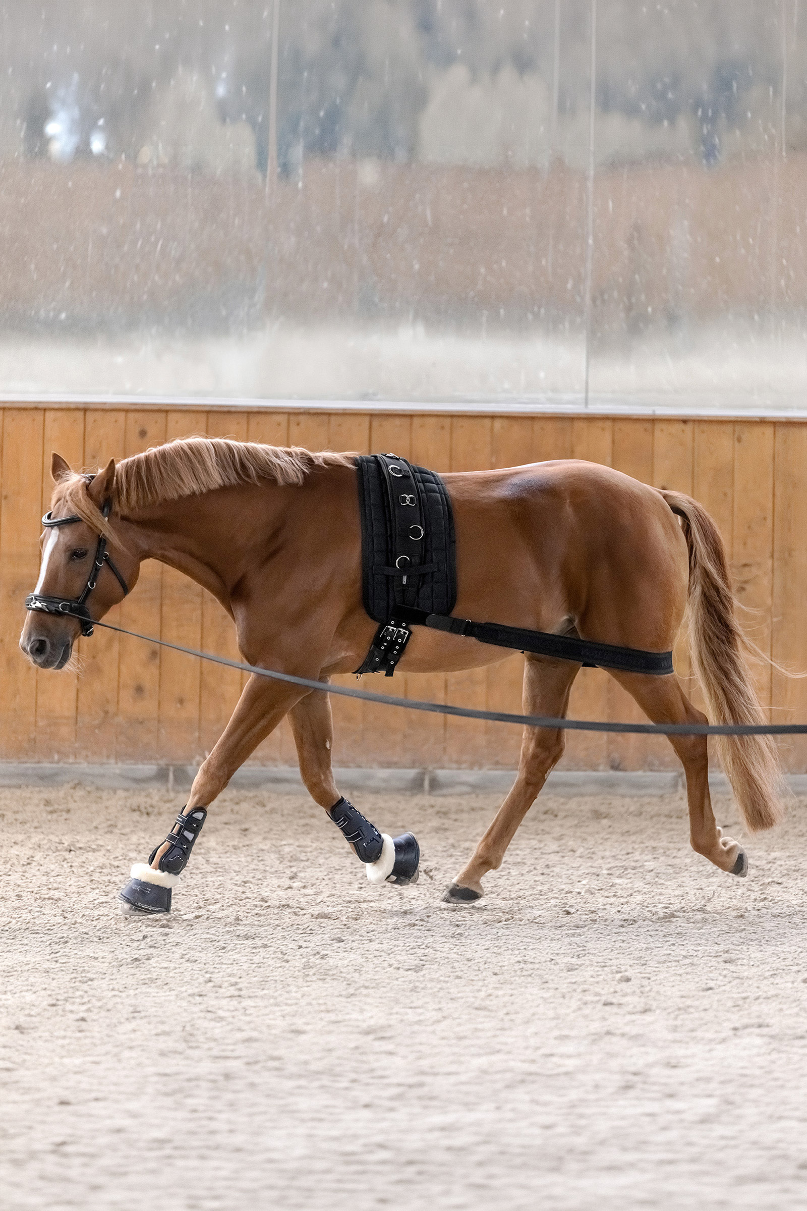 Waldhausen bandage corporel pour activation de l&rsquo;arri&egrave;re-main