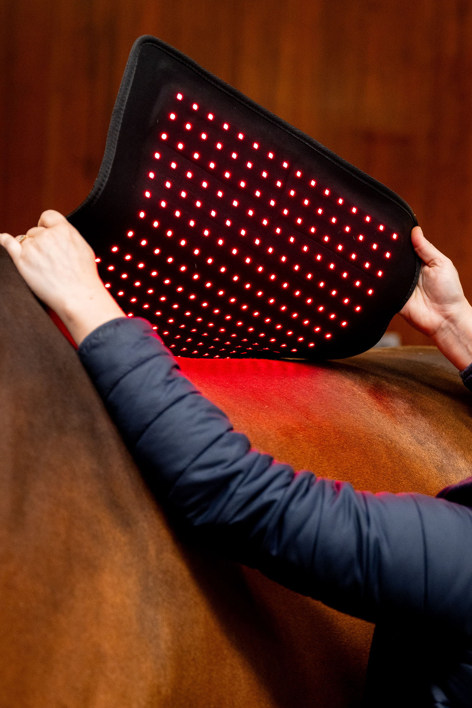 Horseware Pad thérapeutique LED à lumière rouge