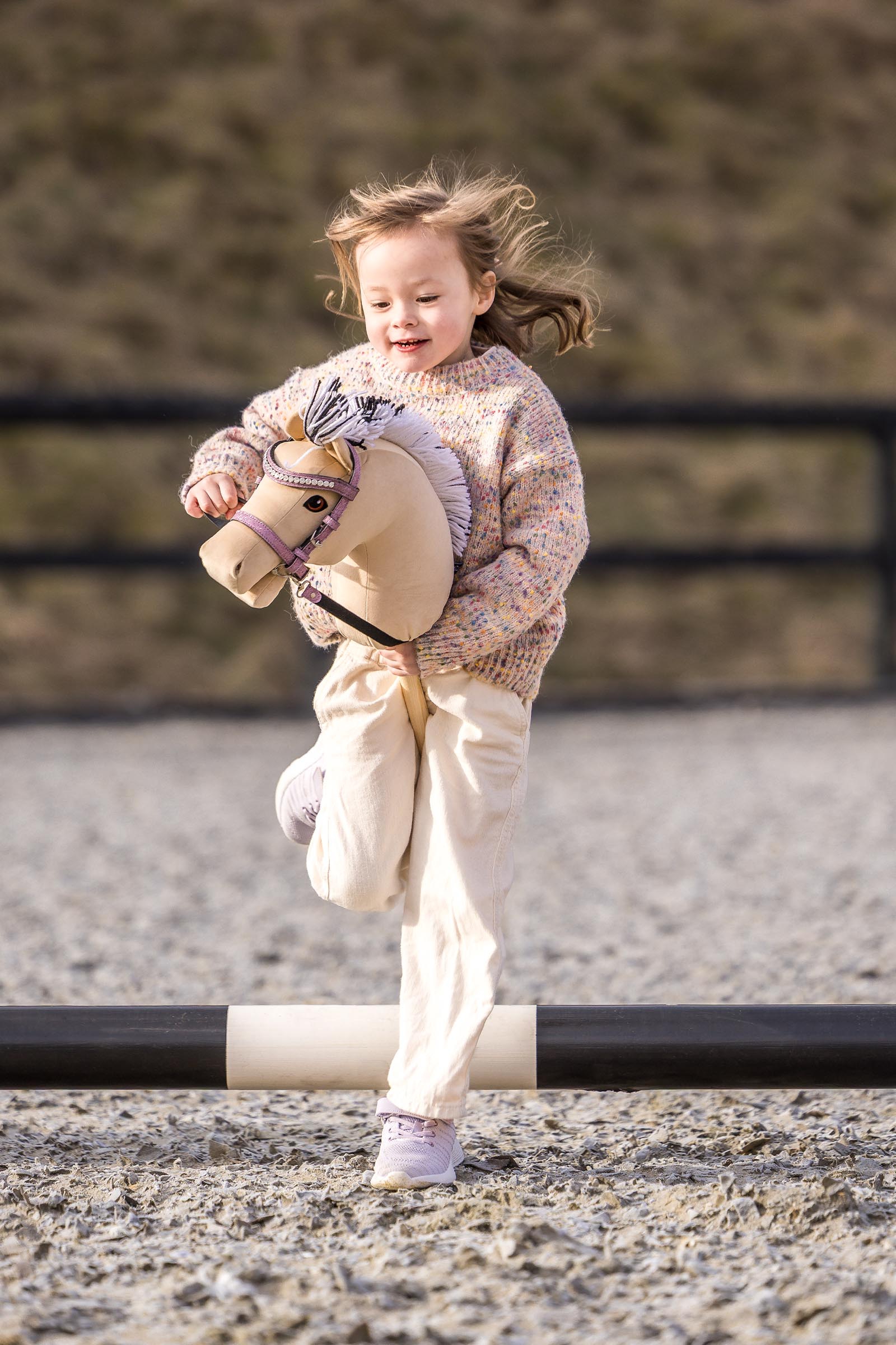 My Hobby Horse Fjord