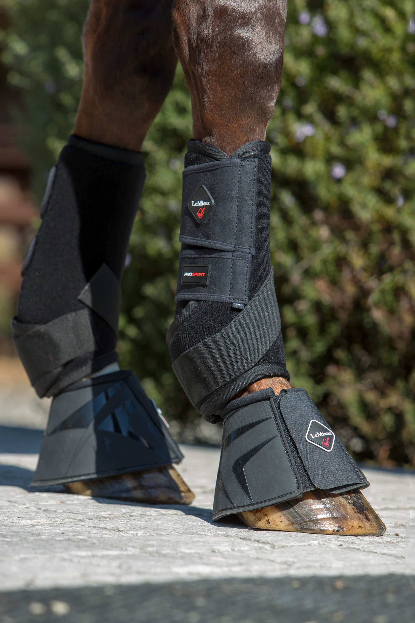 LeMieux Ultra Support Guêtres