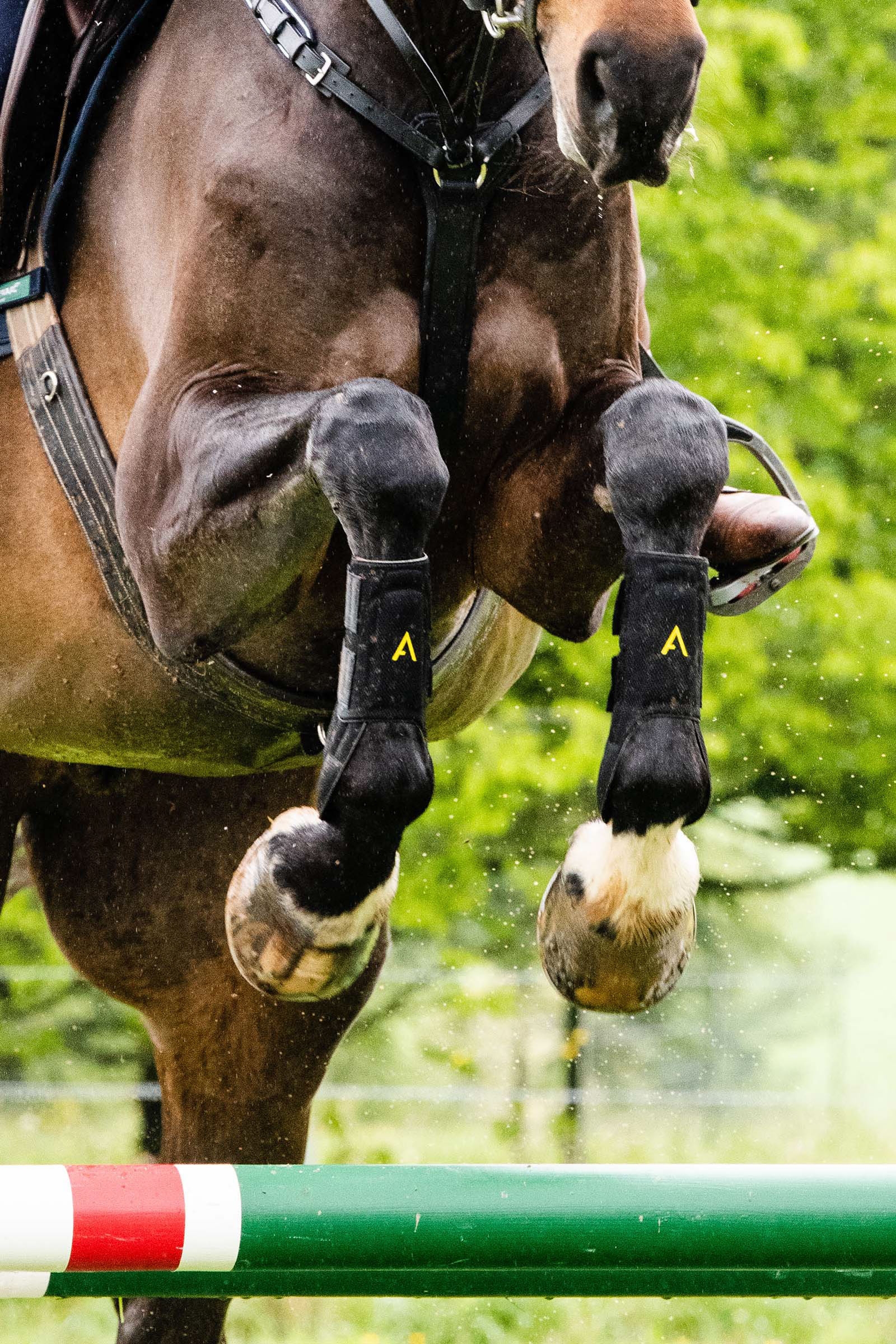 Gu&ecirc;tres Horseware Adagio