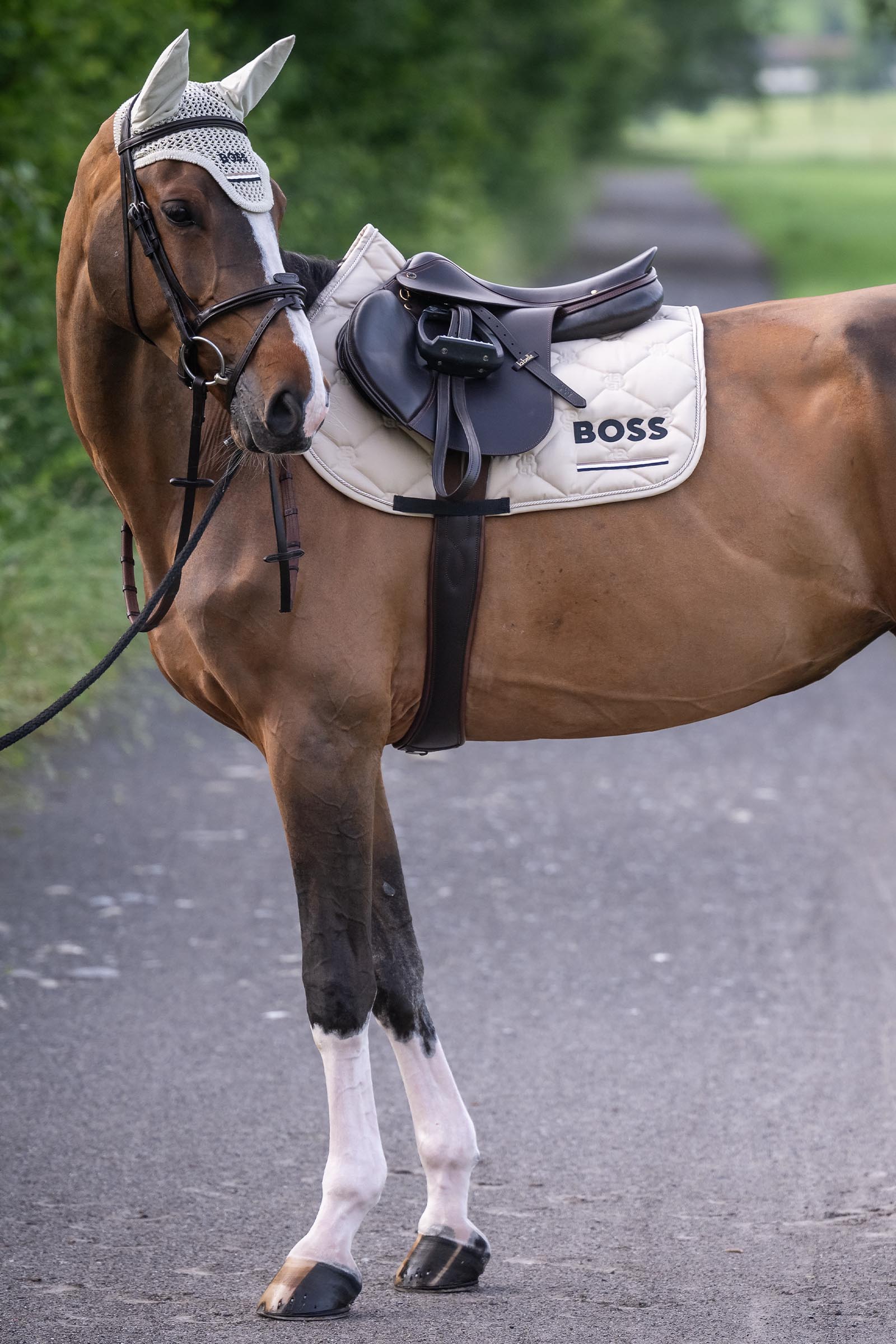 Boss Cheltenham tapis de selle obstacle