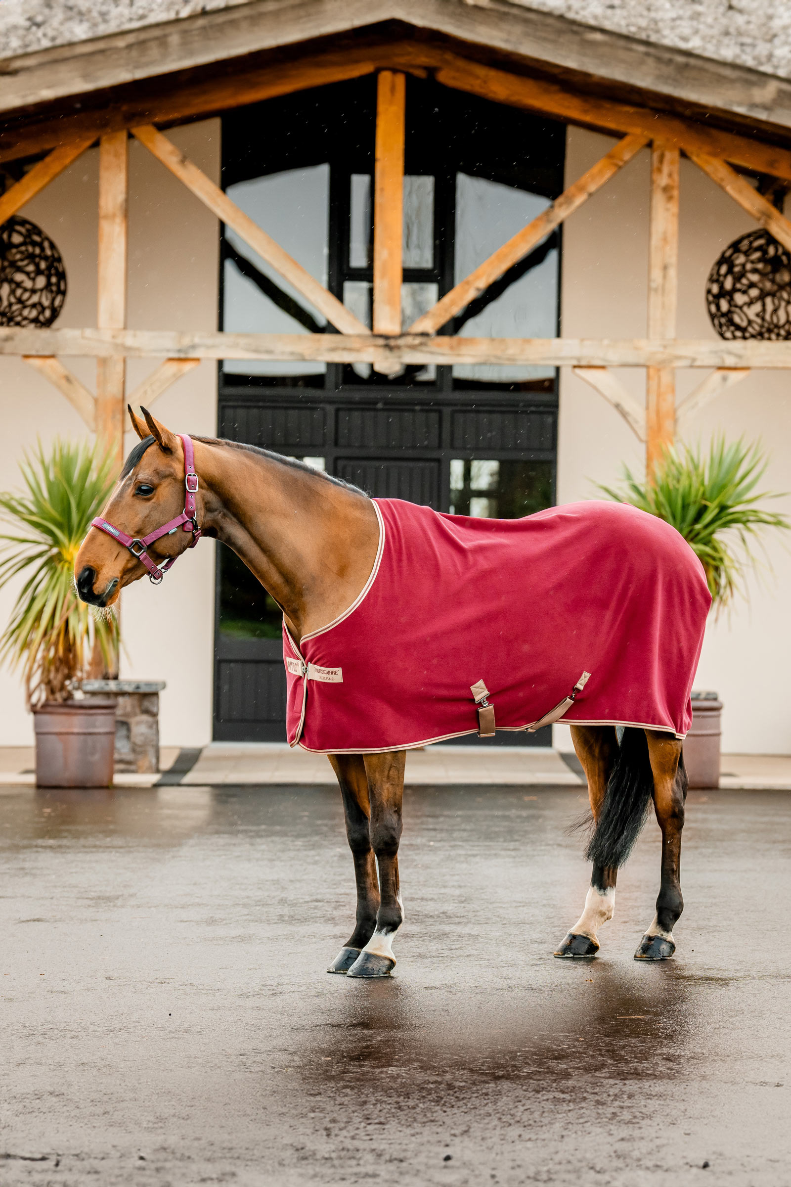 Horseware Amigo Cooler Polaire
