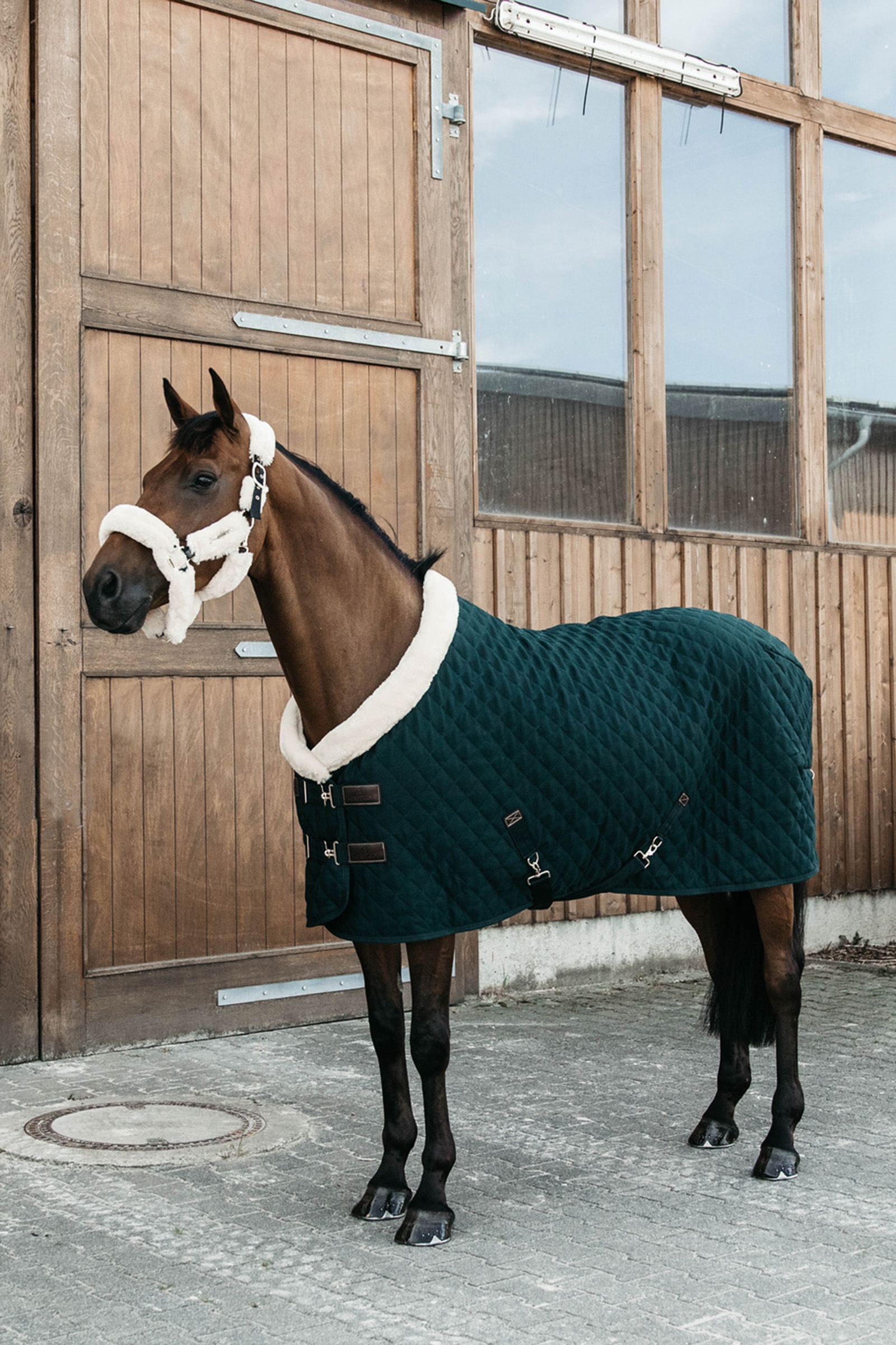 Dark Green Kentucky Couverture de PrésentationHorsewear 160g