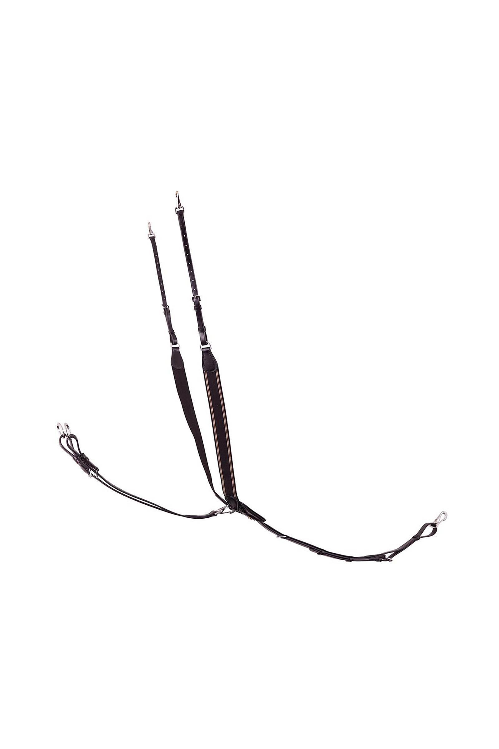 BR Taunton bricole élastique avec martingale amovible