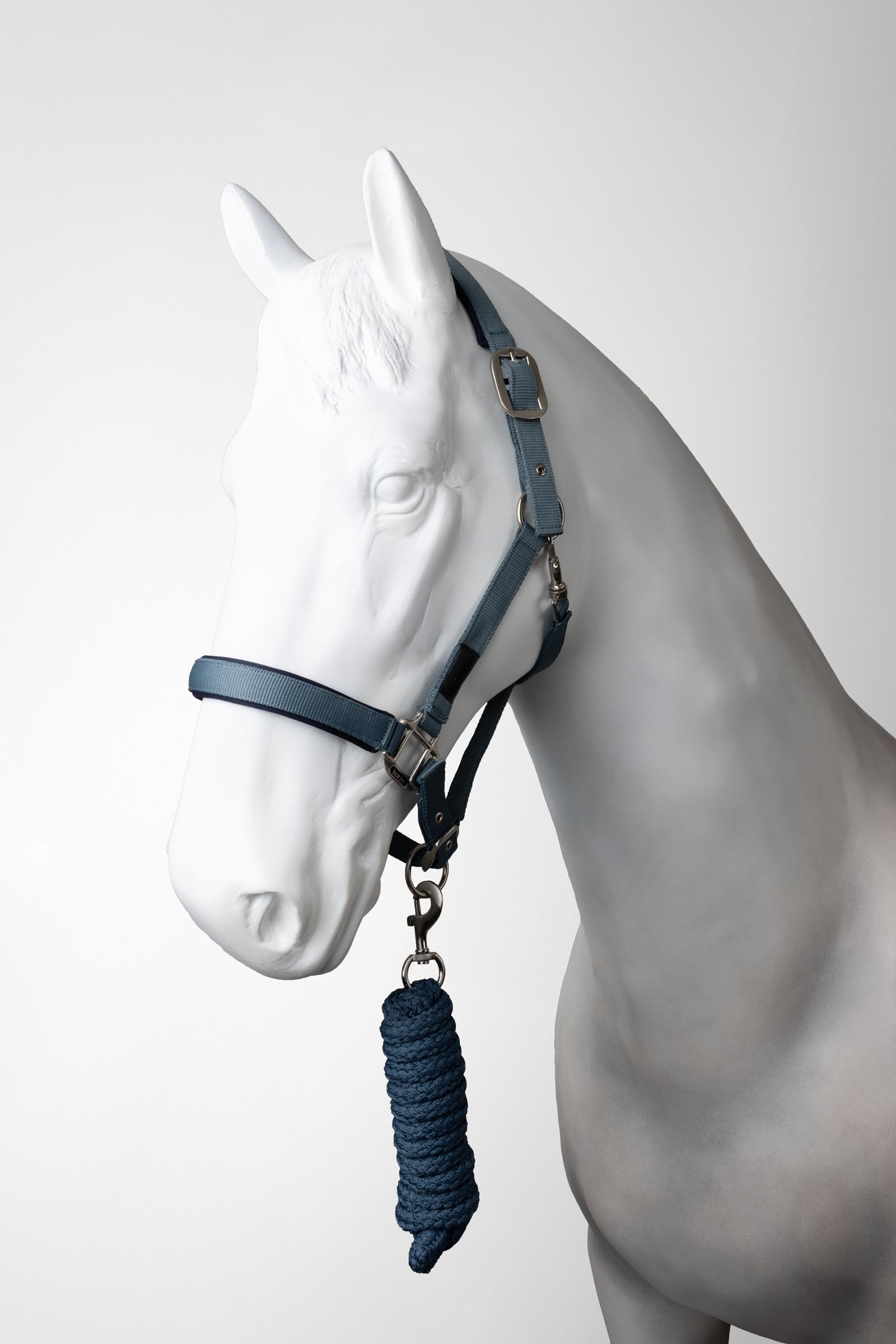 Stormy weather Horze Lucca Licol et longe emsemble