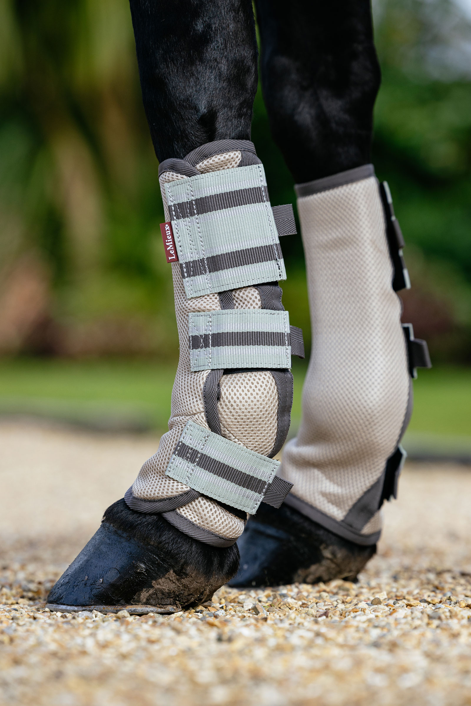 LeMieux Arika gu&ecirc;tres anti-mouches en mesh lot de 4