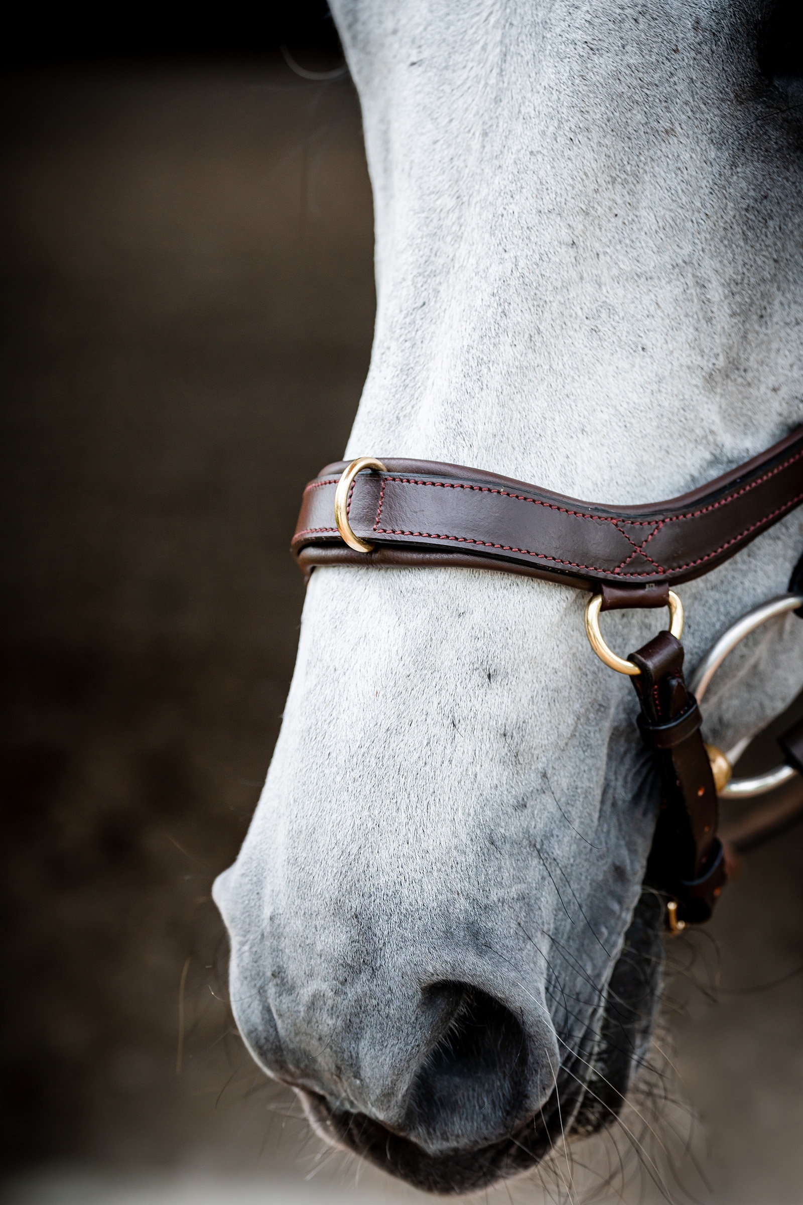 Horseware Micklem 2 Multi Bride