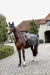 Couvre-reins d'&eacute;quitation en molleton &eacute;pais Quarter Rug Kentucky Horsewear