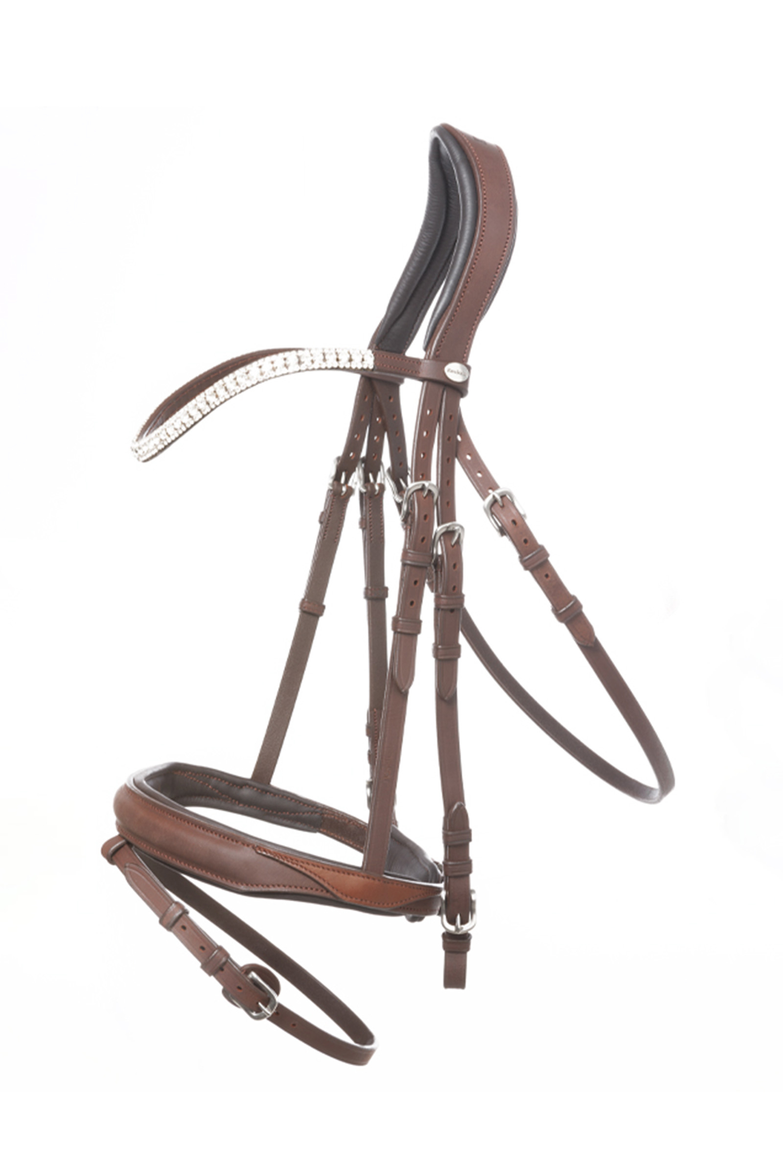 Kavalkade Everness Bridle