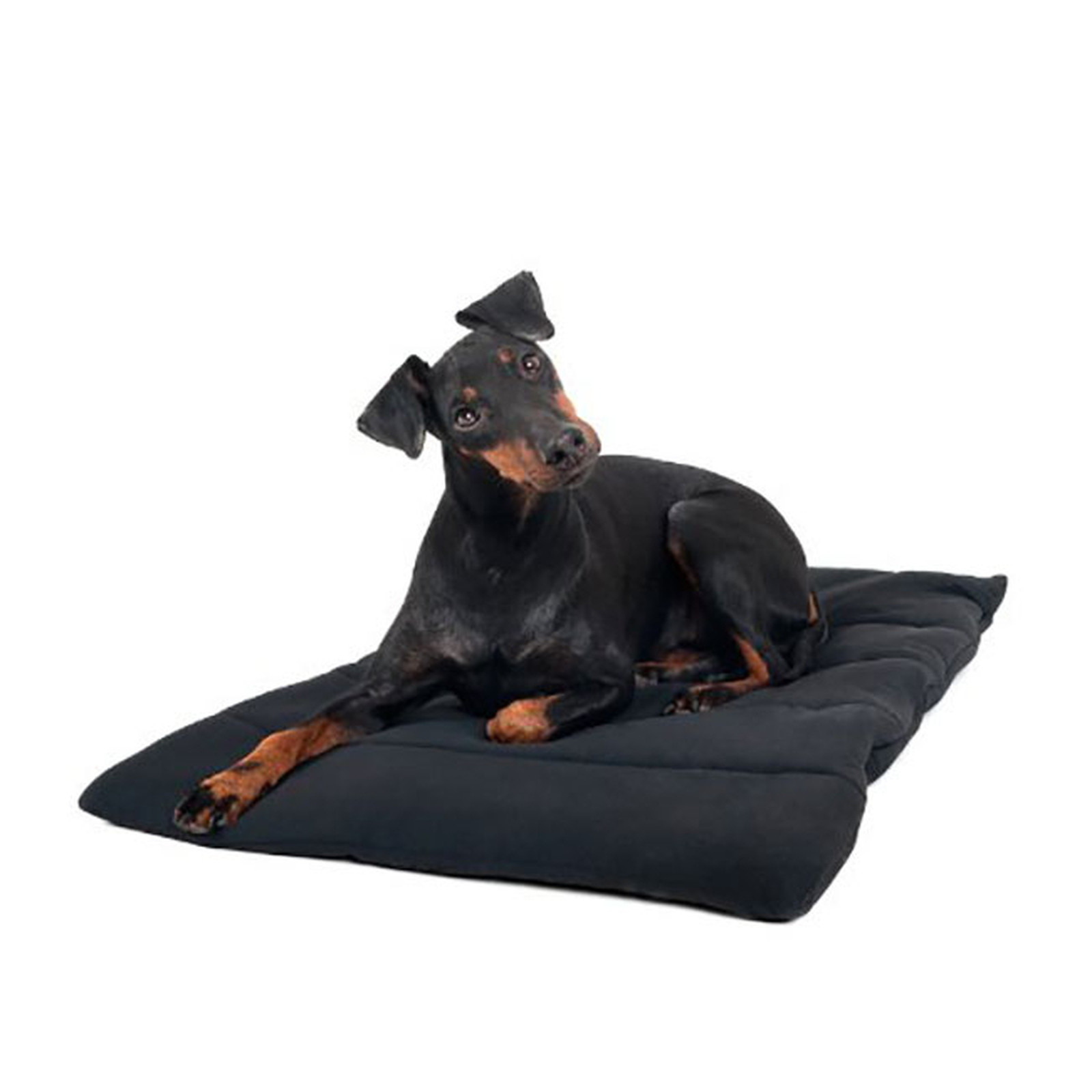 Couverture pour chien Back on Track