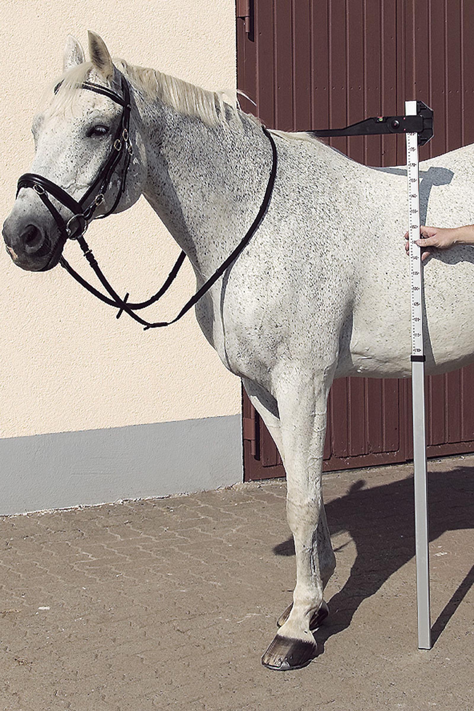 USG toise en aluminium DLX