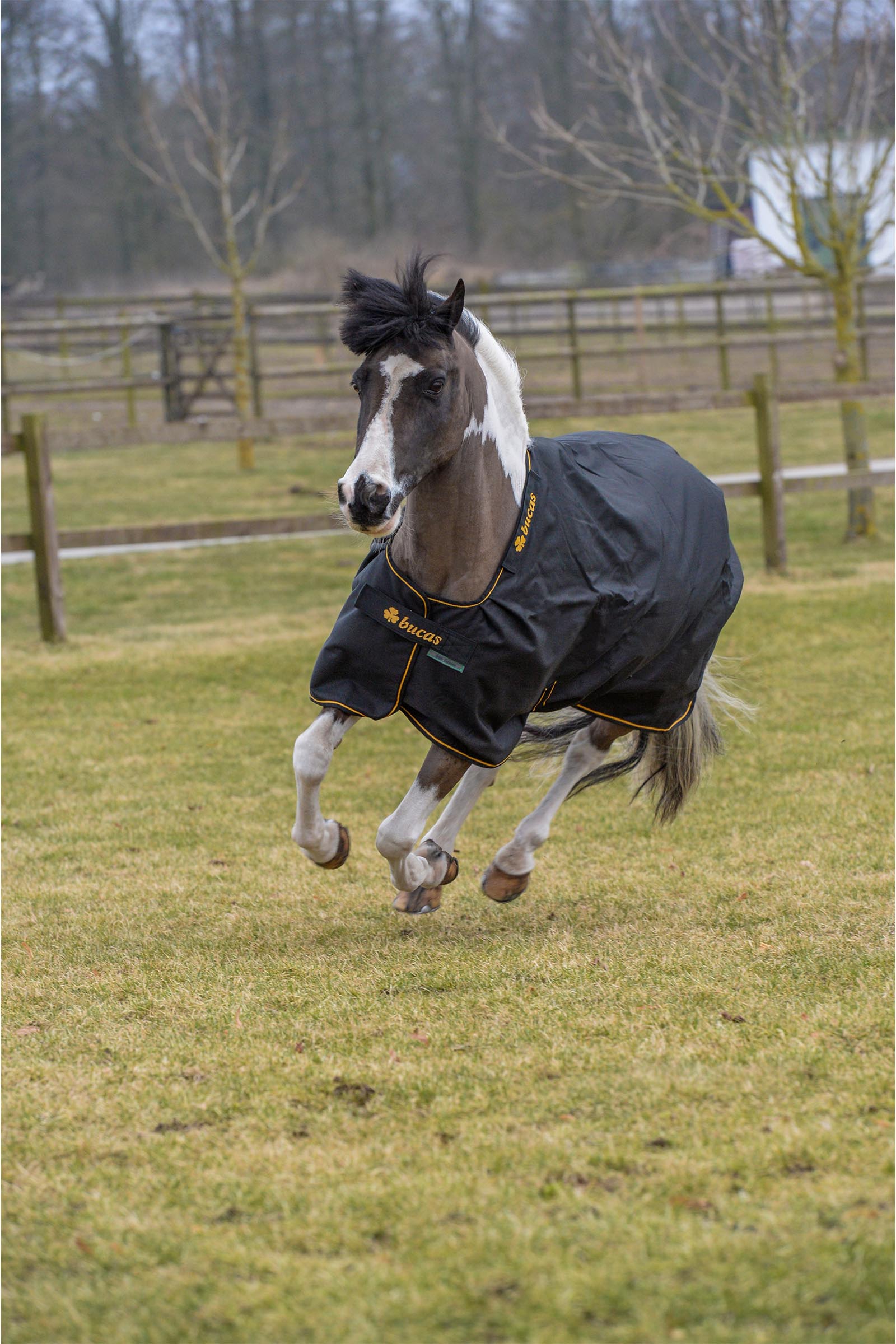 Bucas Irish couverture d&rsquo;ext&eacute;rieur, 100 g