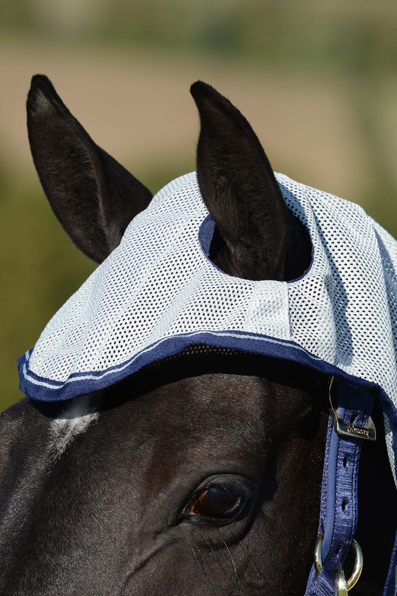 Bucas Buzz-Off X-light Full Neck couverture anti-mouches avec partie de cou fixe