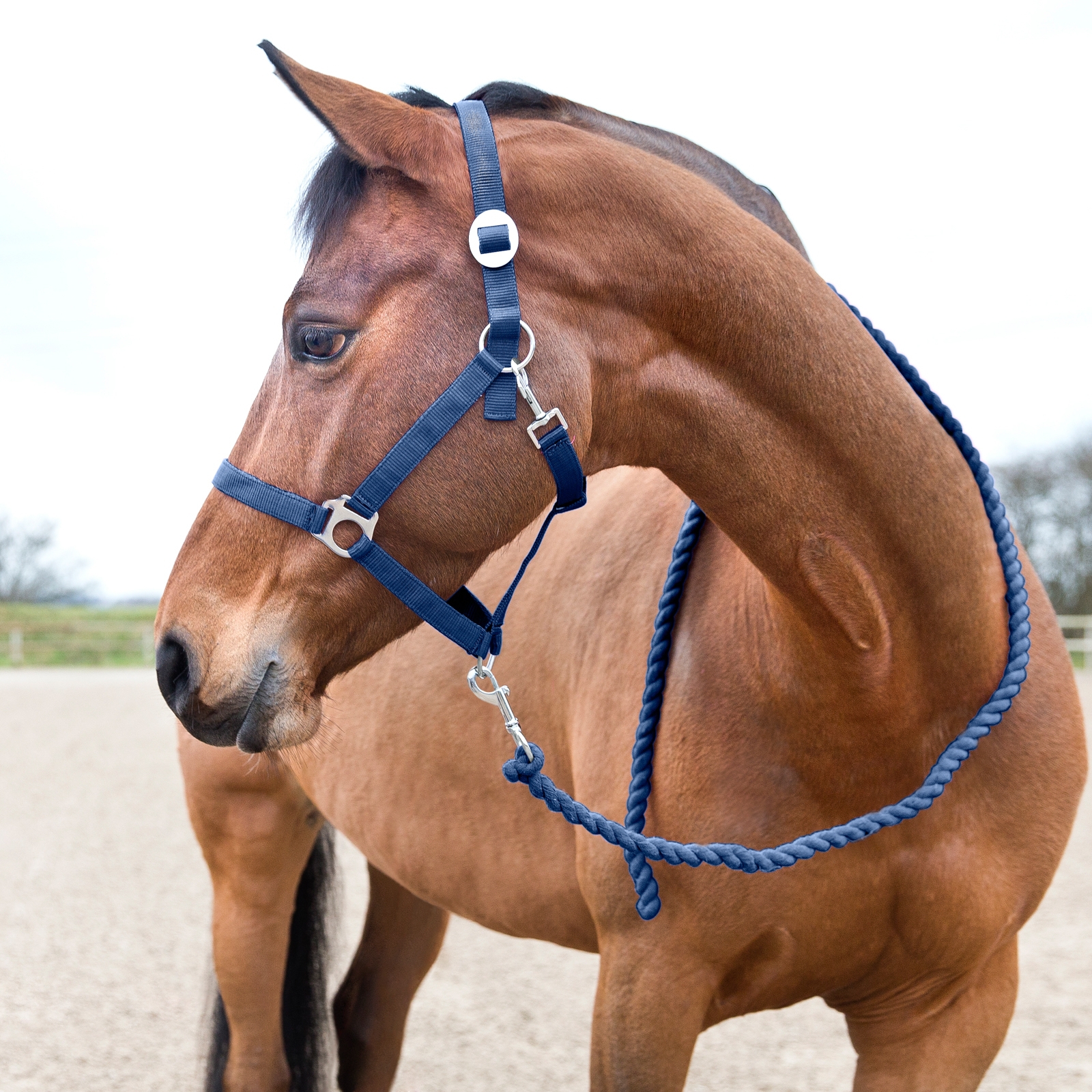 Bleu fonc&eacute; peacoat Longe basique Horze