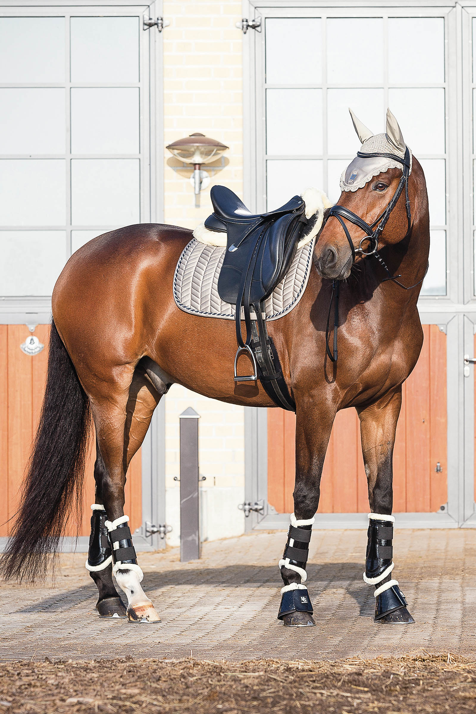 Amortisseur Horse Guard MediLamb mouton