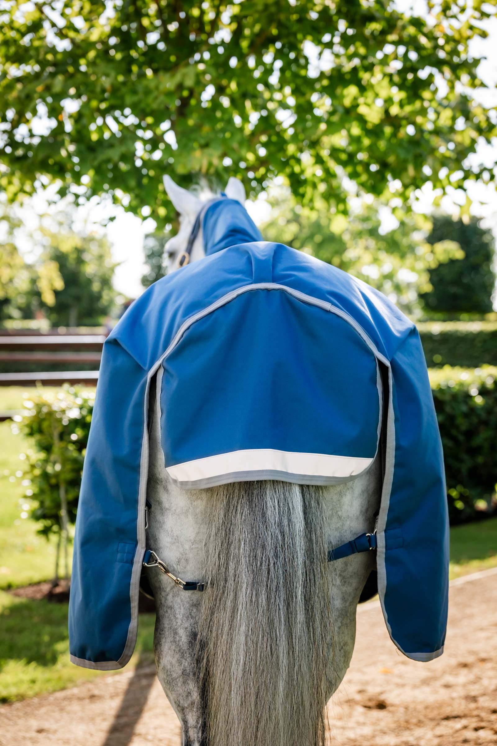 Horseware Ionic Therapy Couverture d'extérieur, 100g