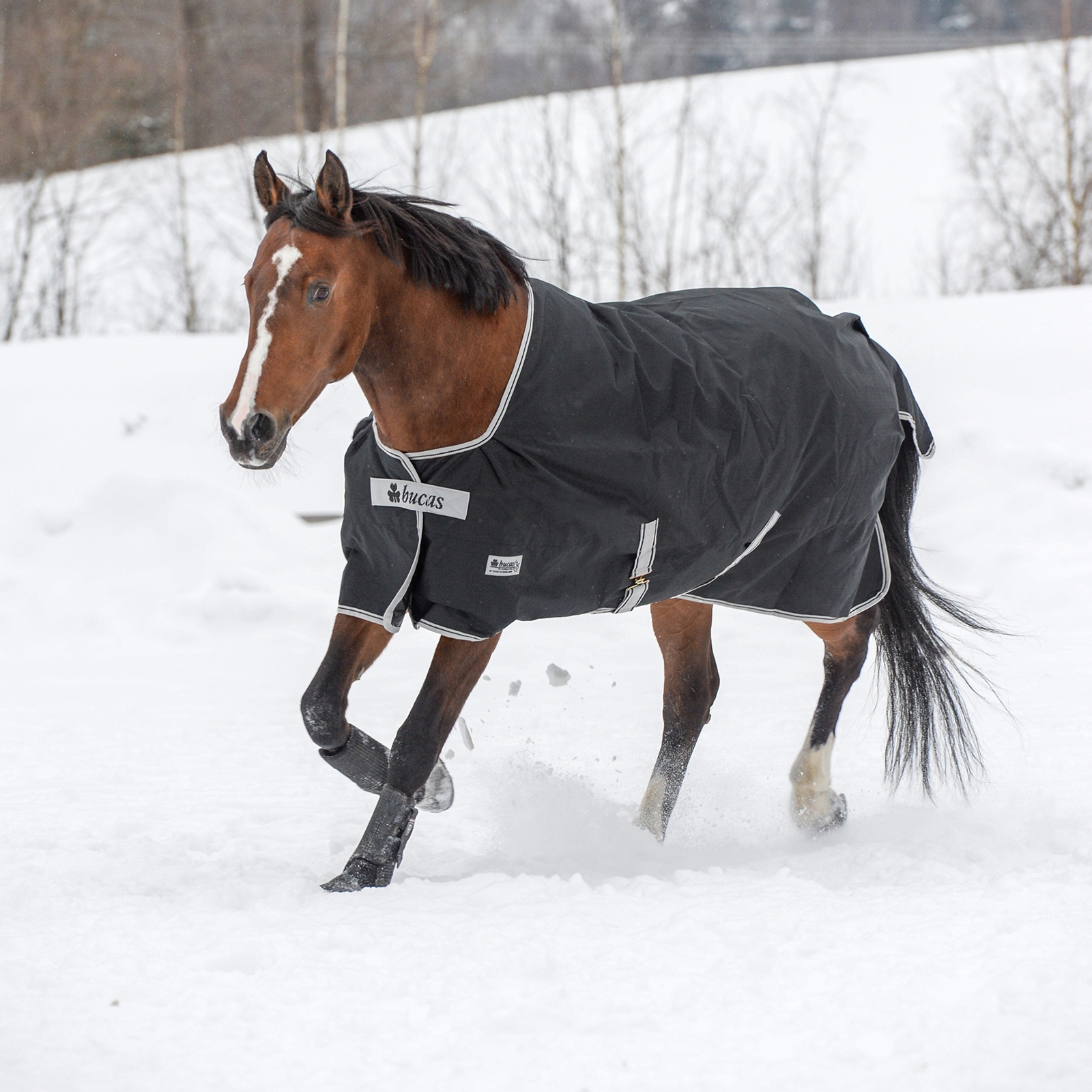 Couverture d'extérieur légère Bucas Anniversary Light SD, 150 g