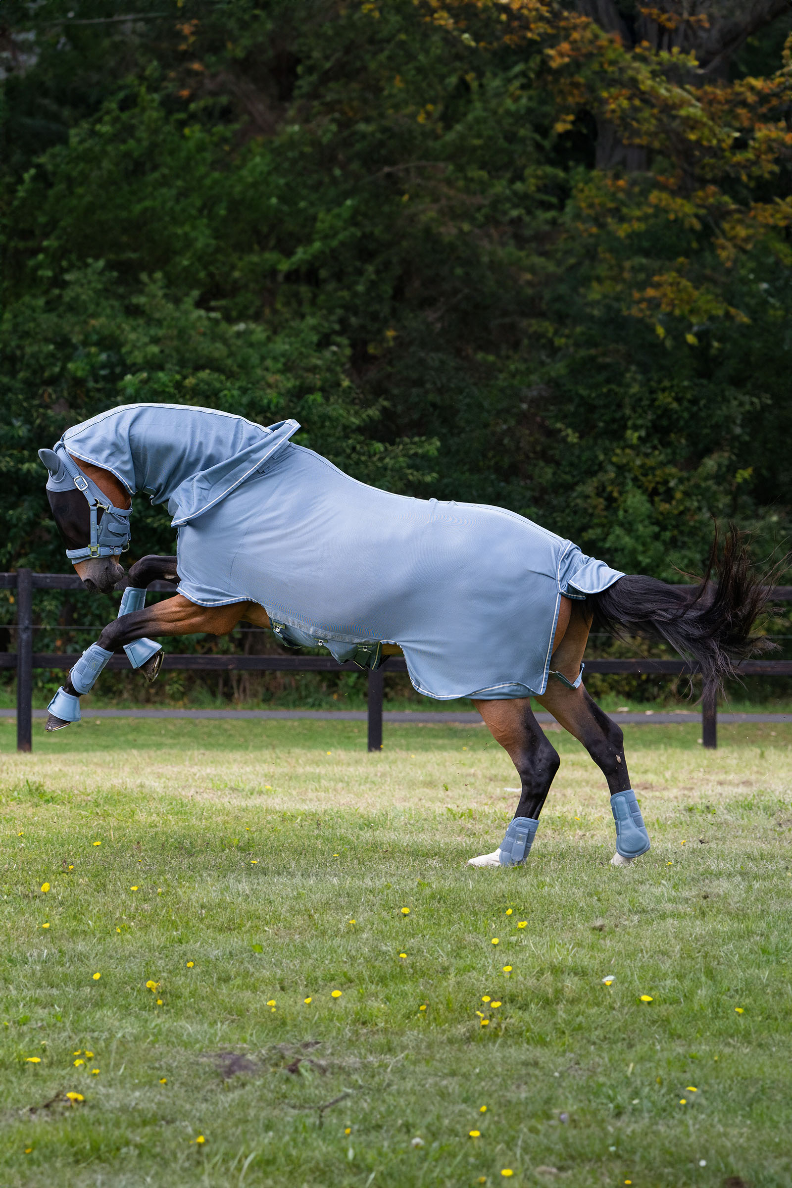 Eskadron Classic Sports SS25 Fly Detach-Neck couverture anti-mouches