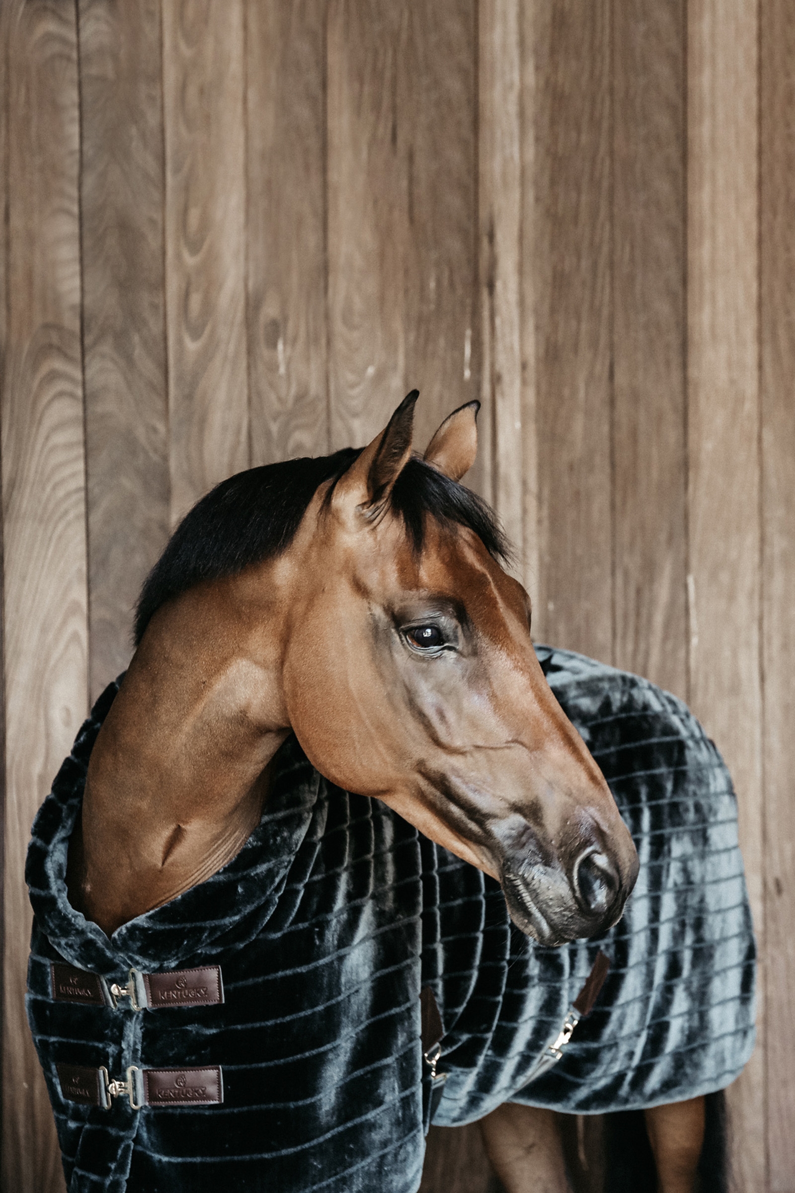 Kentucky Horsewear Fake Fur Plafond stable