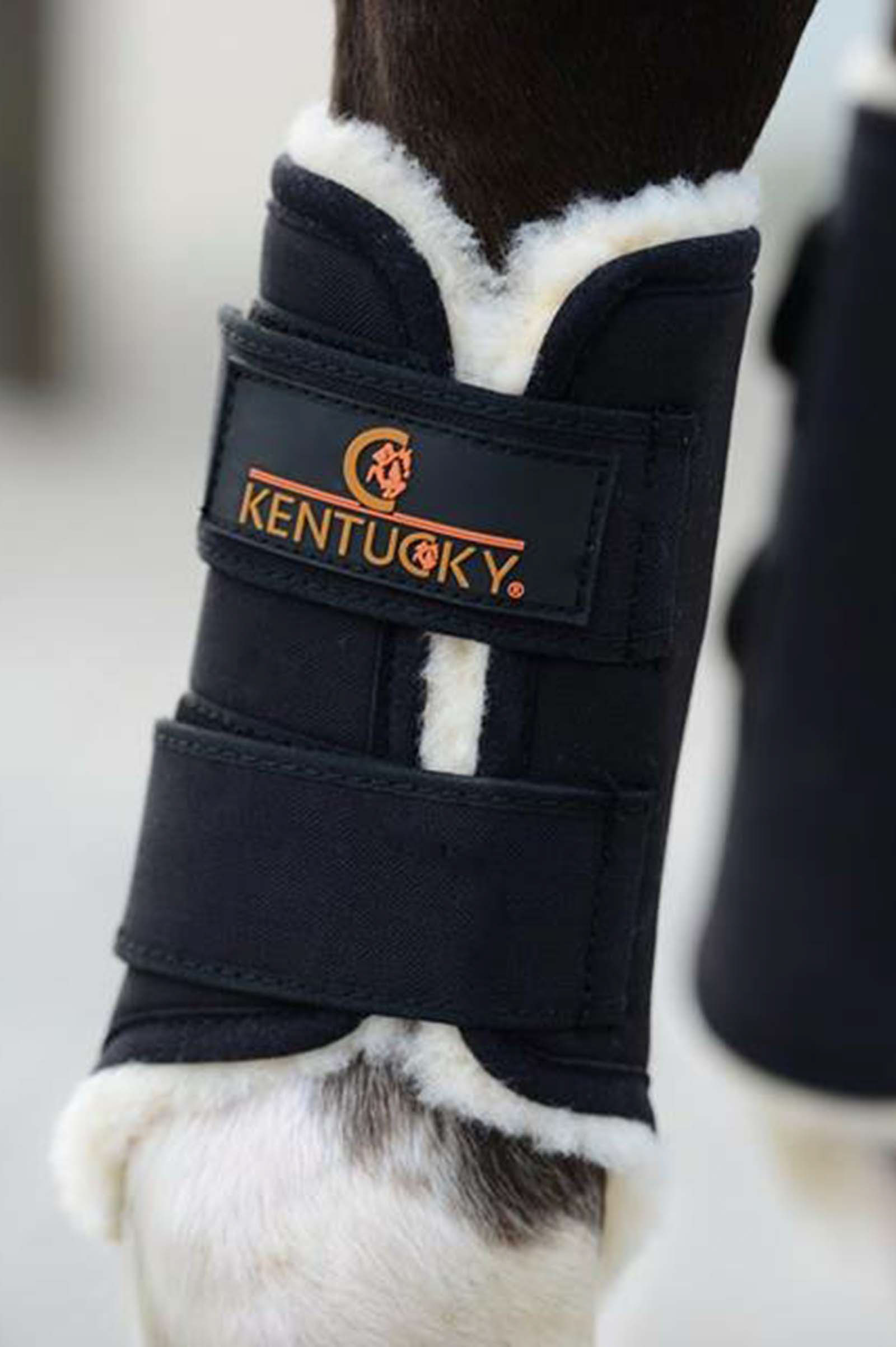 Guêtres de compétition Kentucky Horsewear Solimbra, antérieur