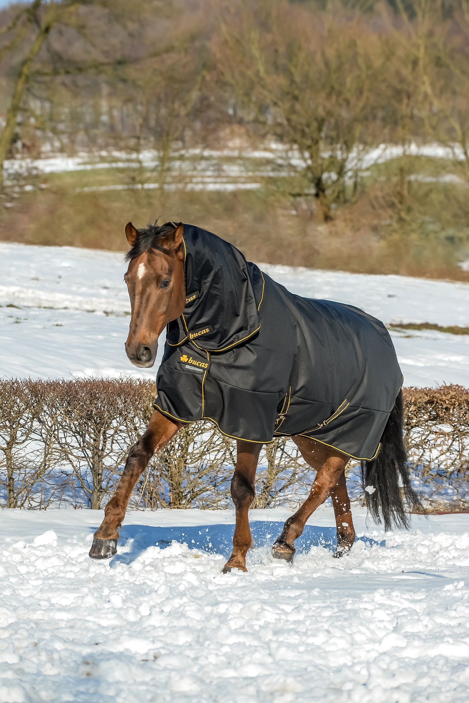 Couverture d'extérieur Bucas Irish Extra, poney