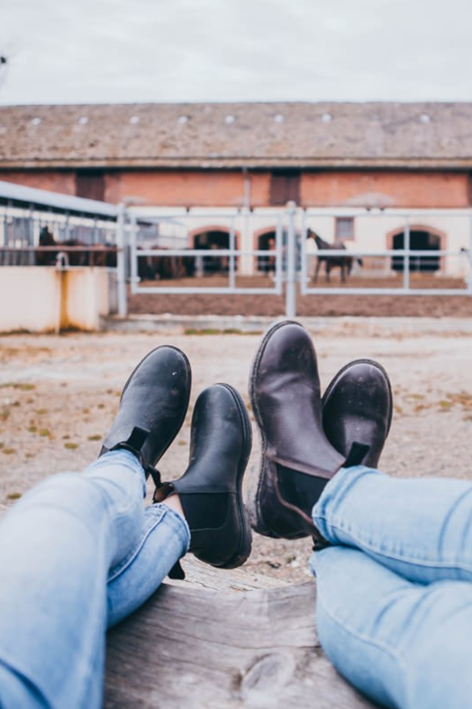 Suedwind Footwear 1888 Bottes Chelsea Jodhpur